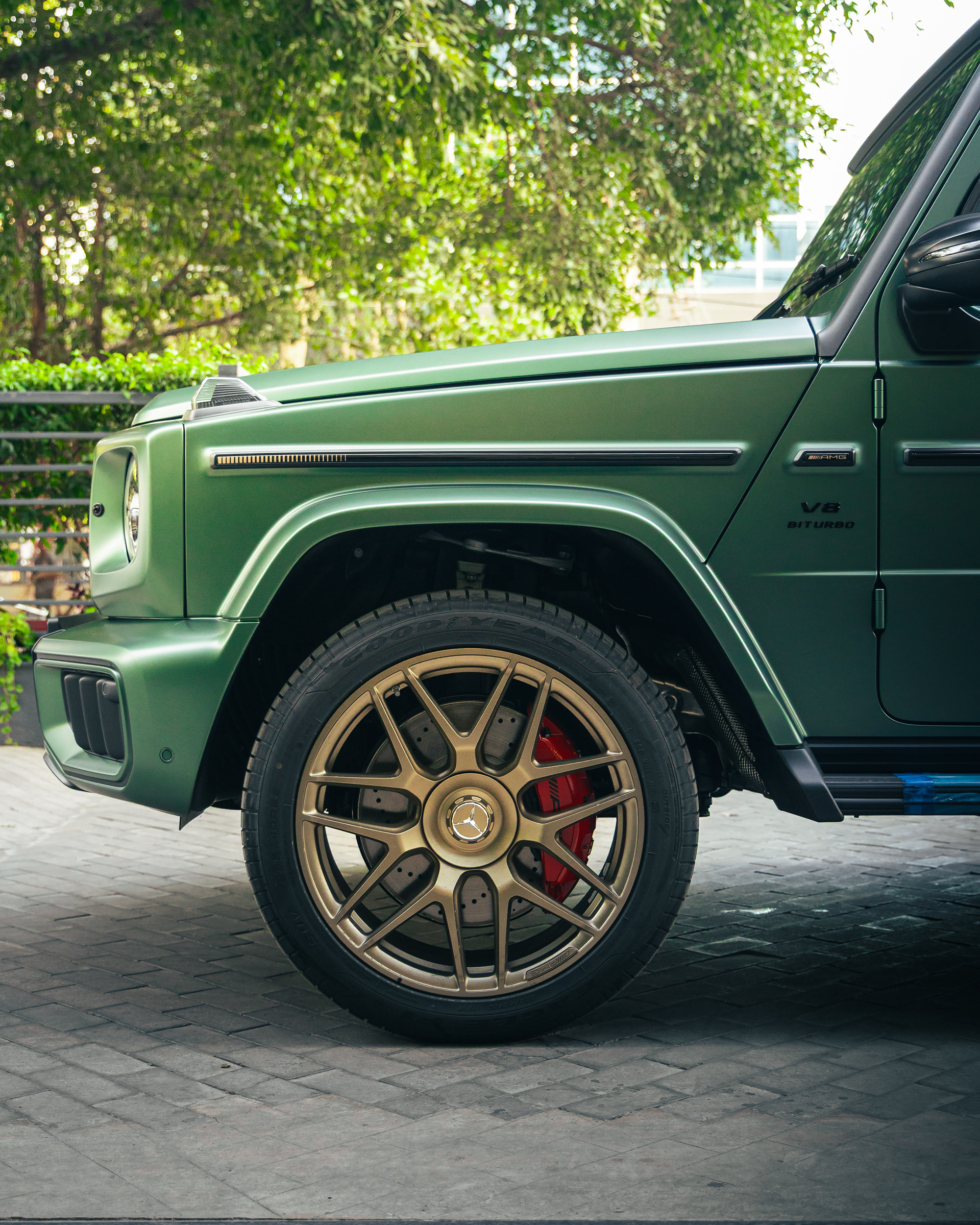 Captured by Rohit Chopra