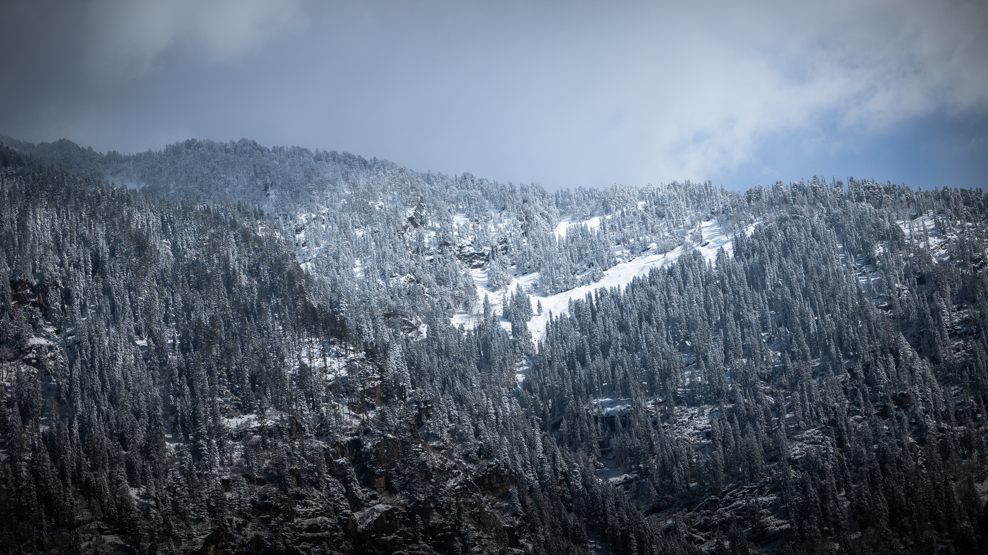 Captured by Rohit Chopra