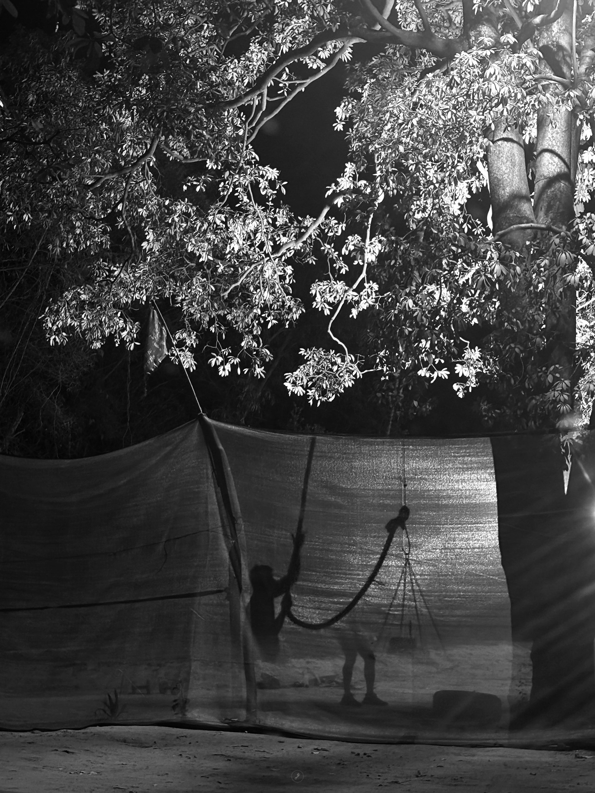 Captured by Rohit Chopra