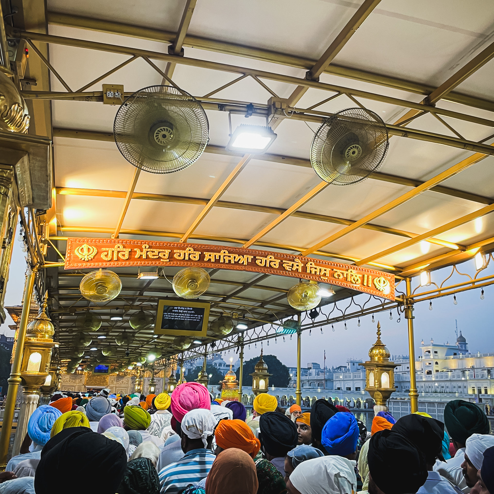 Captured by Rohit Chopra