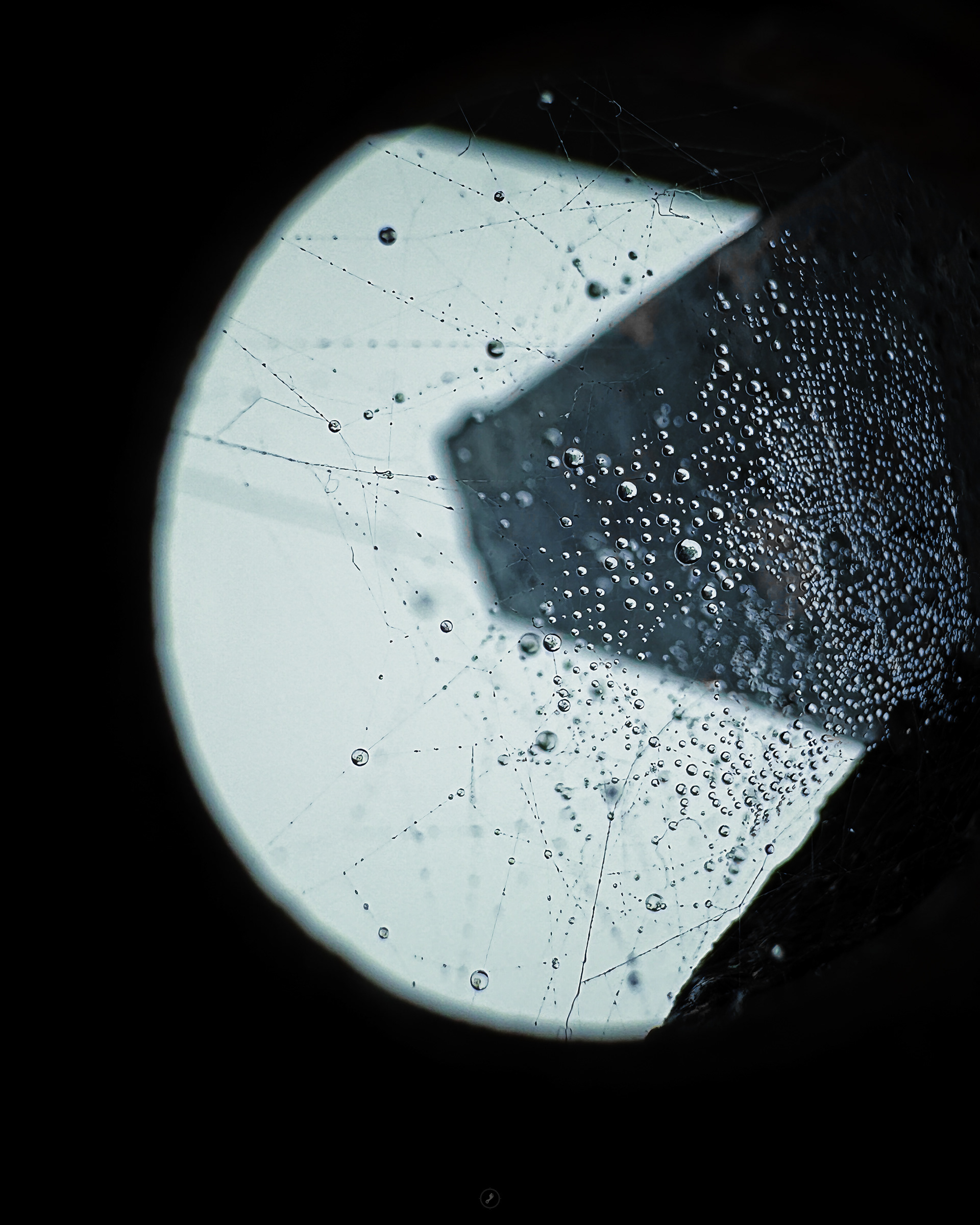 Captured by Rohit Chopra