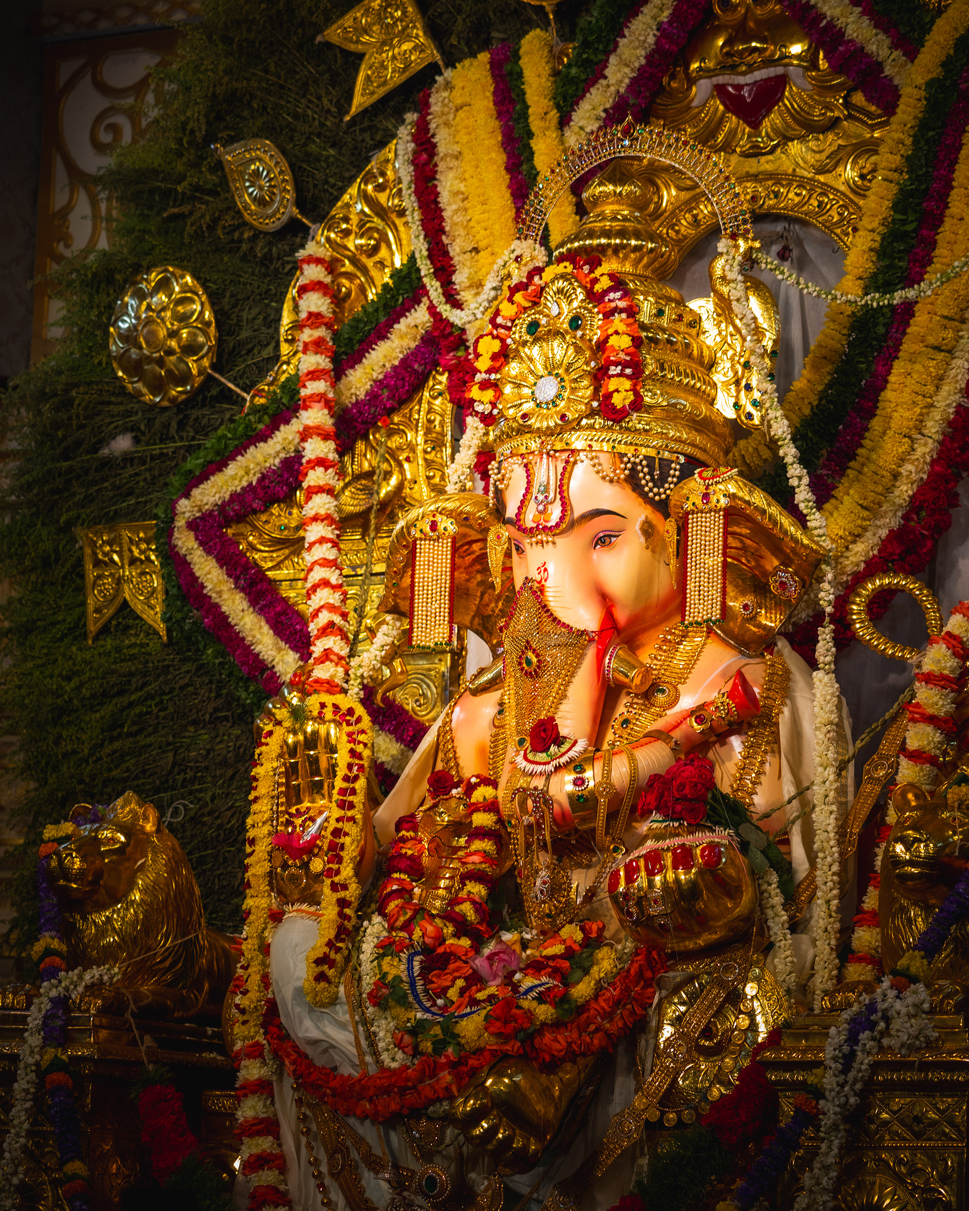 Captured by Rohit Chopra