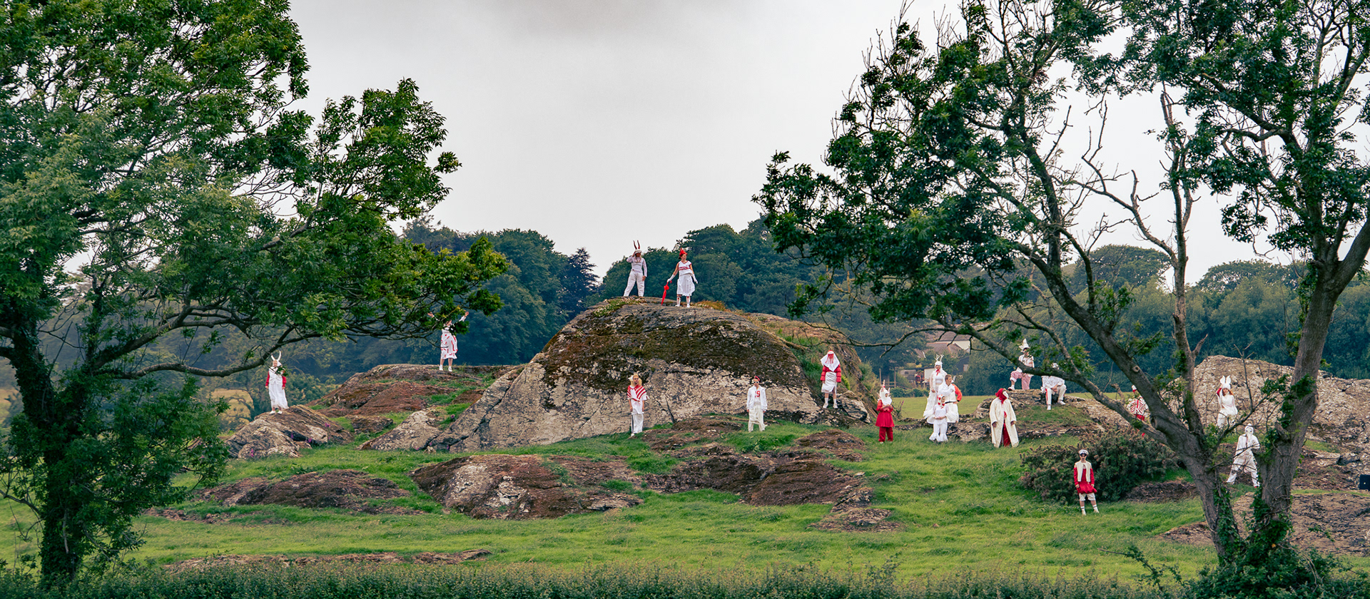 ©Anthony J Harrison Photography