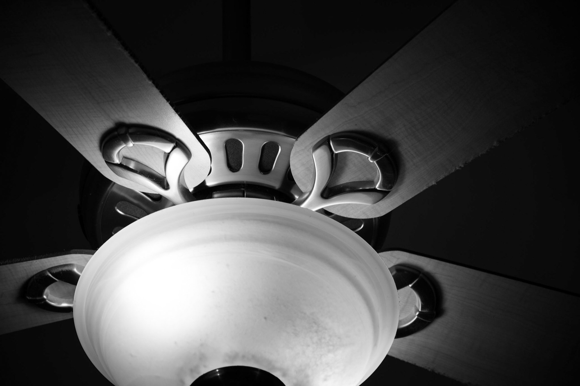 Suburban Light | Tim Meadows