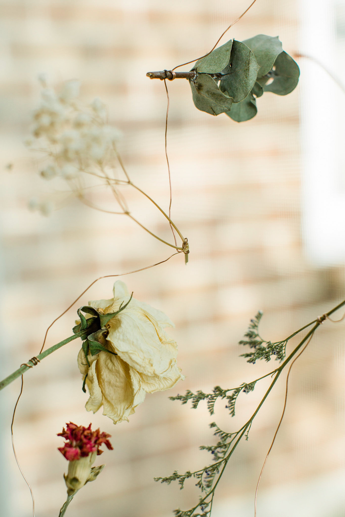 Gallery details - Flowers