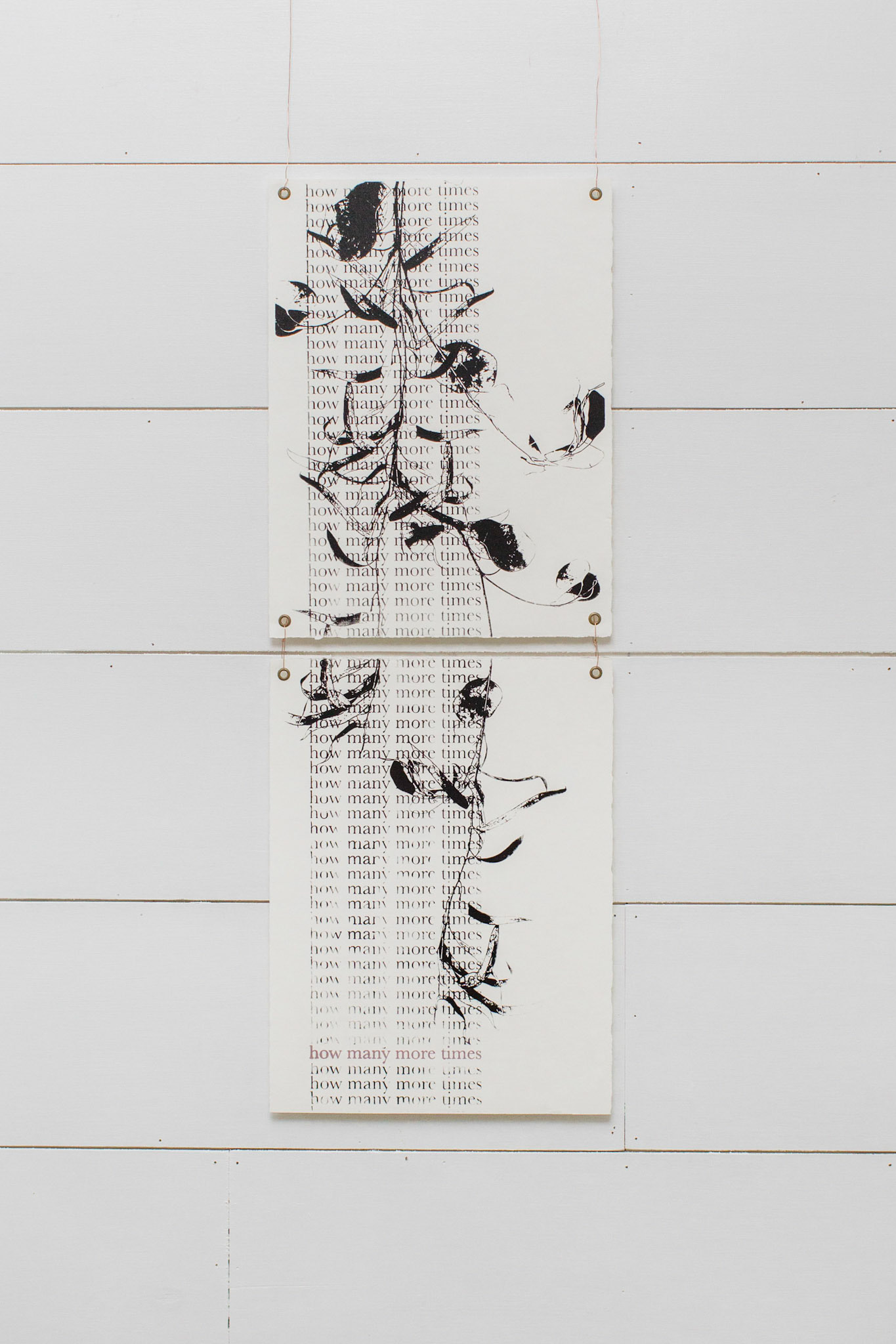 "Wilderness" | Anna Renaud
