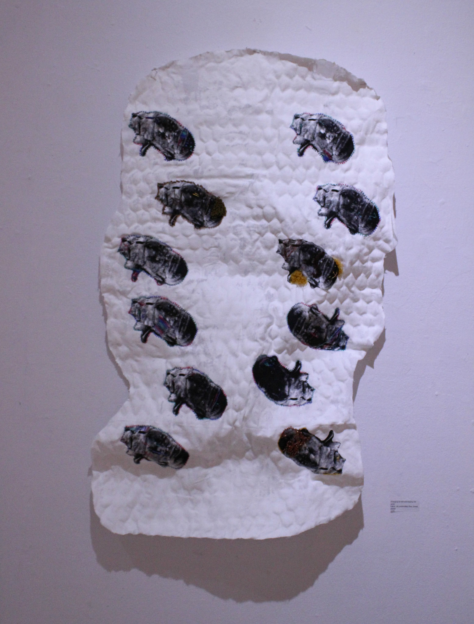 "Emerging as new and staying the same" | Tessa Trimble