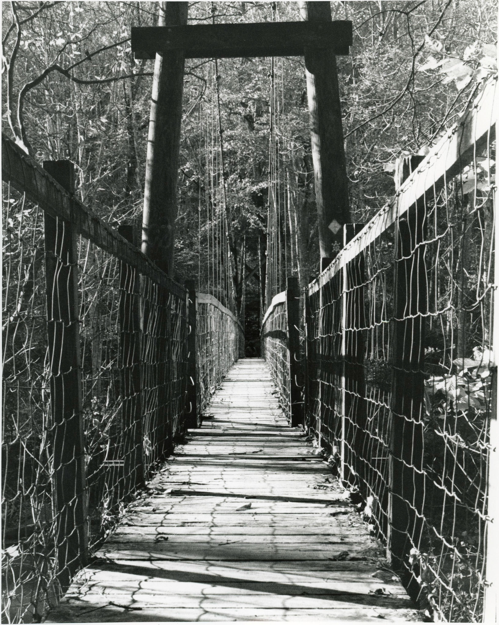 Suspension Bridge • Tasha Mathews • November 1, 2020 • 8x10 FiberBase Print • 35mm