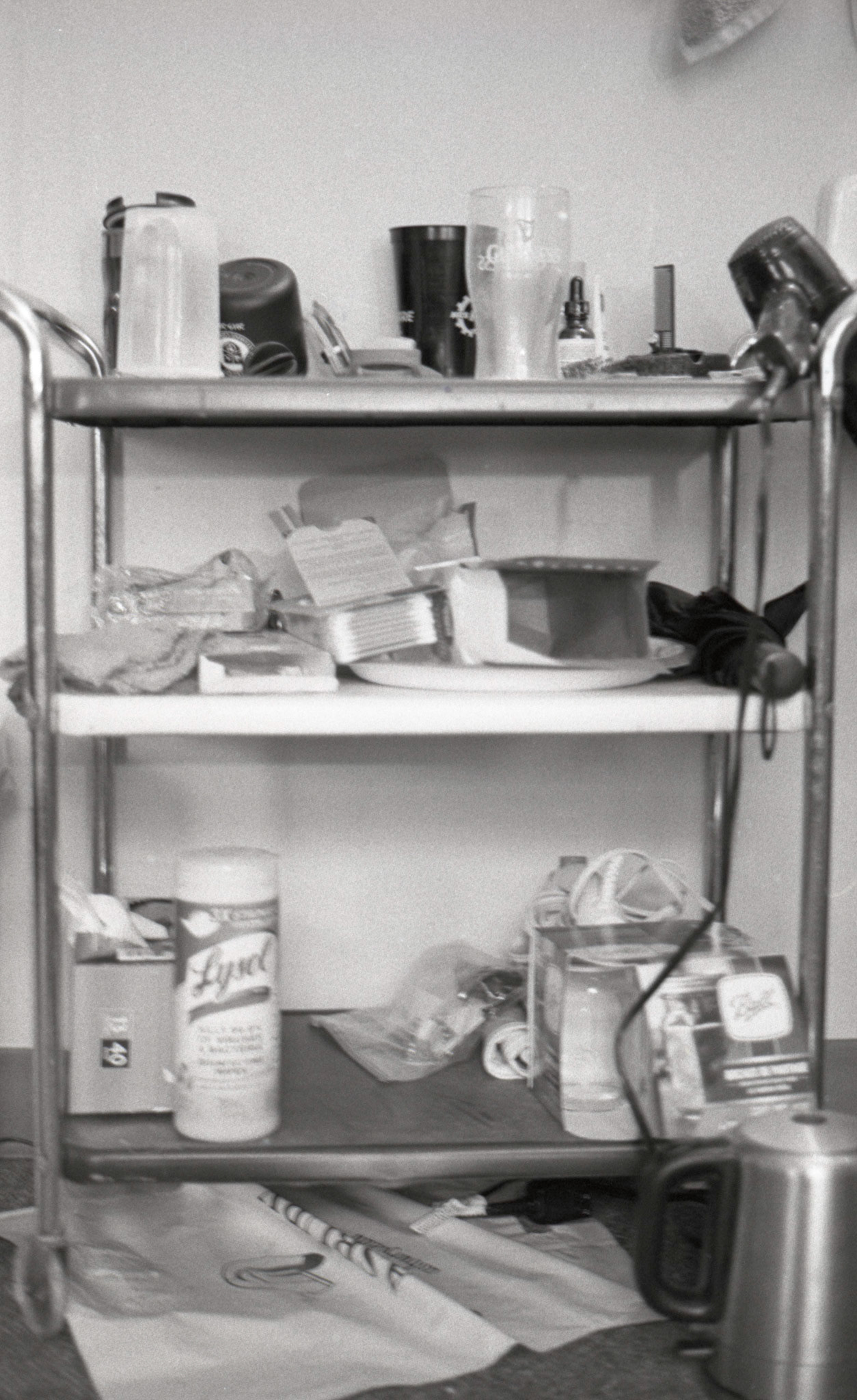 'Organized' • Ethan Sirles • 2020 • 8x10 Fiber-Based Print • 35mm negative
