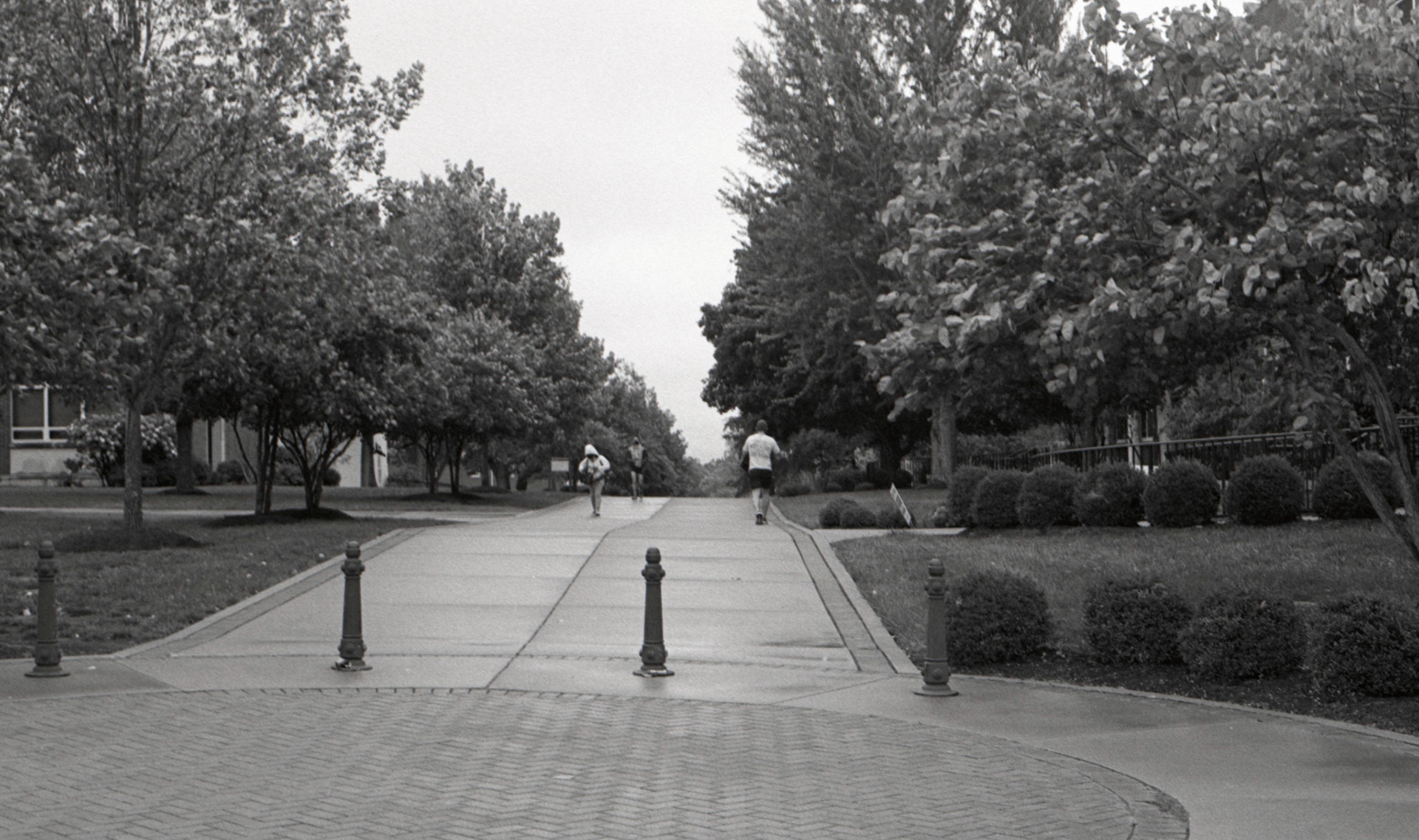 Rainy Days • Ethan Sirles • 2020 • 5x7 Fiber-Based Print • 35mm negative