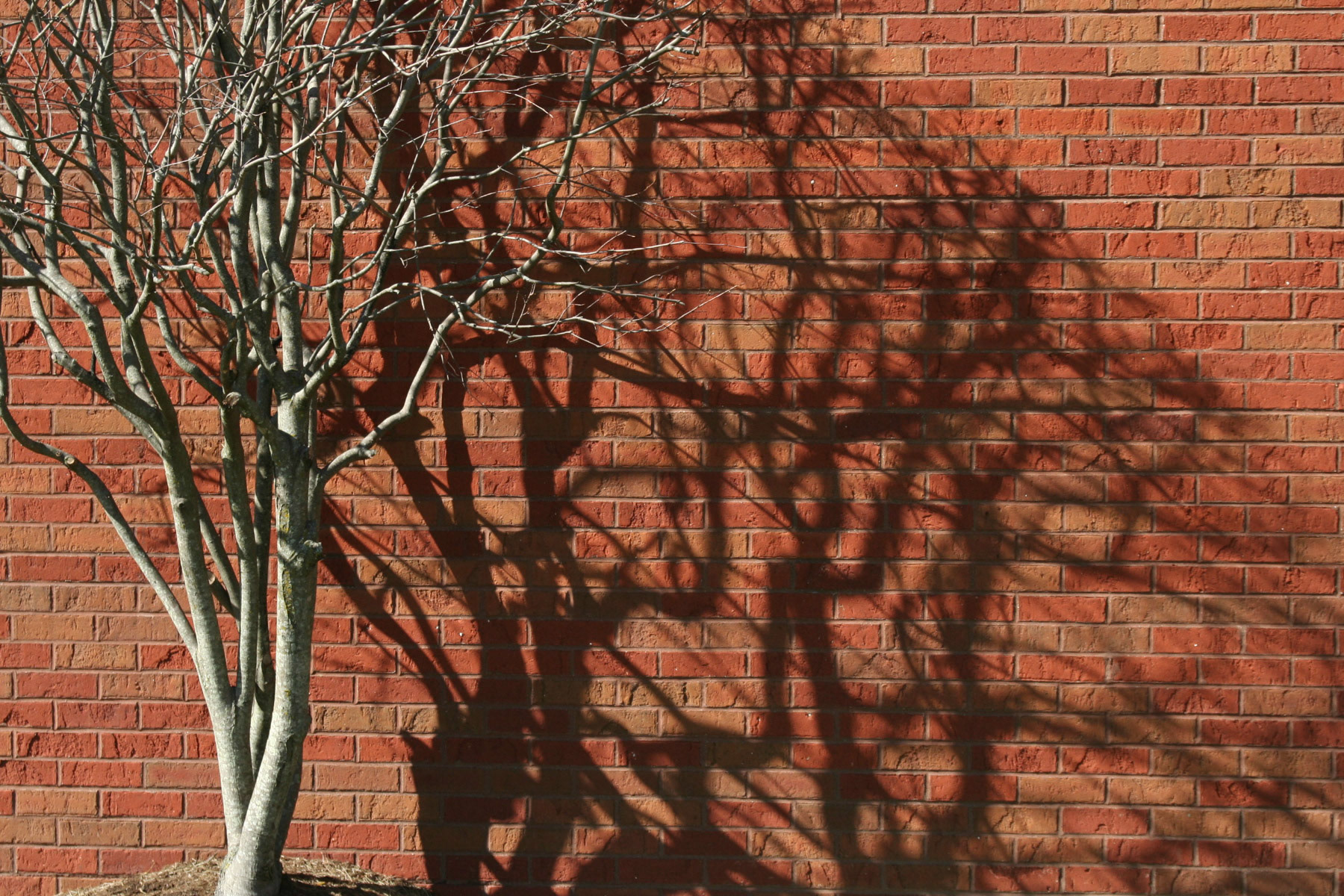 LIGHT/SHADOW | Zach Powell