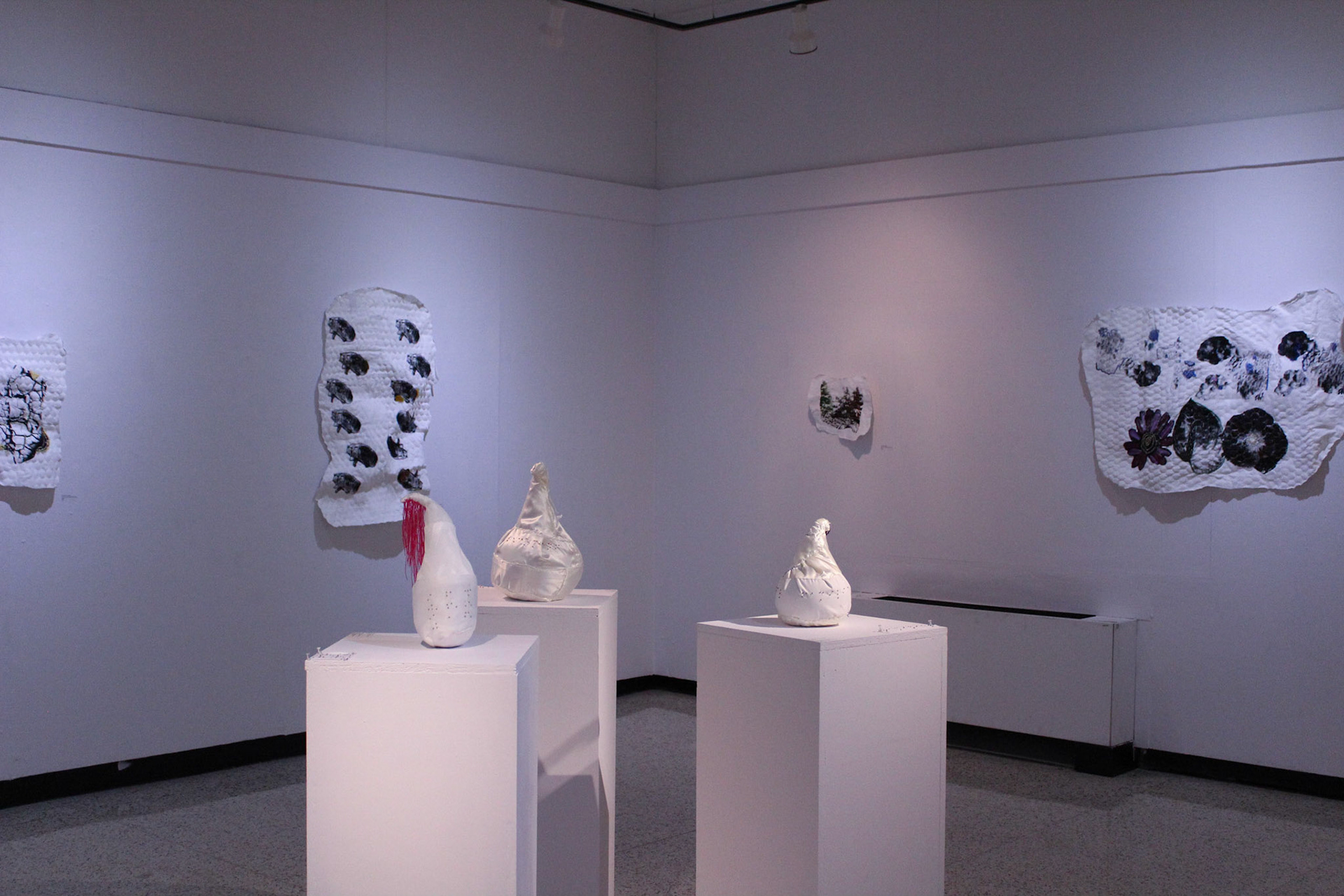 Gallery Detail | Tessa Trimble