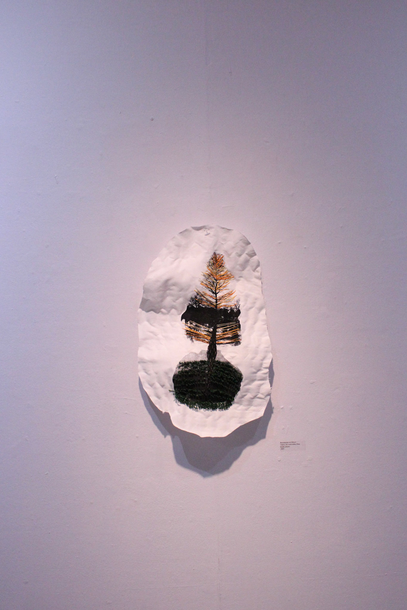 "Reverberated and Return" | Tessa Trimble