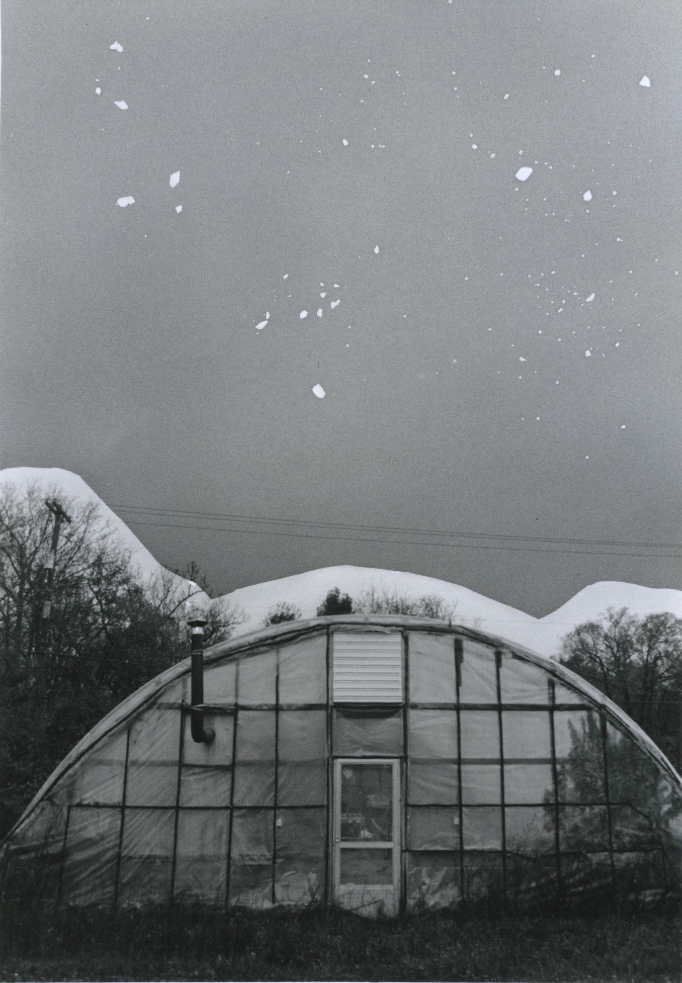 Greenhouse • Gabby Long • 2020 5”x7” print silver gelatin print 35mm