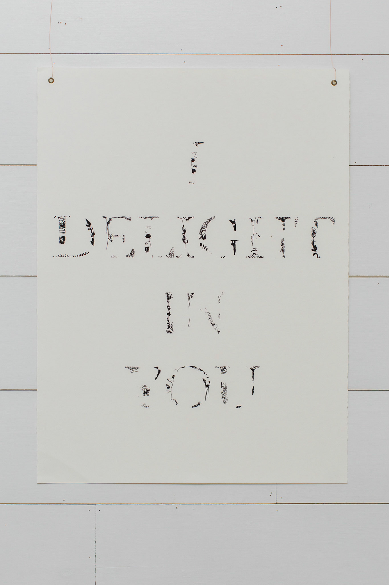 "Delight" | Anna Renaud