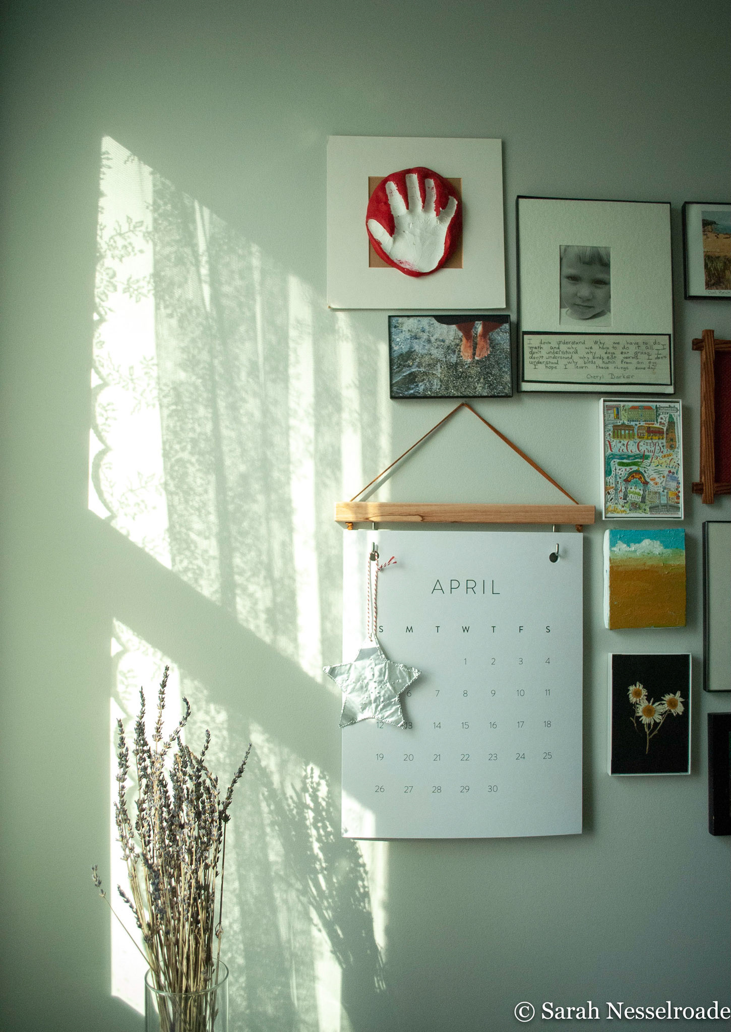 Morning Light | Sarah Nesselroade