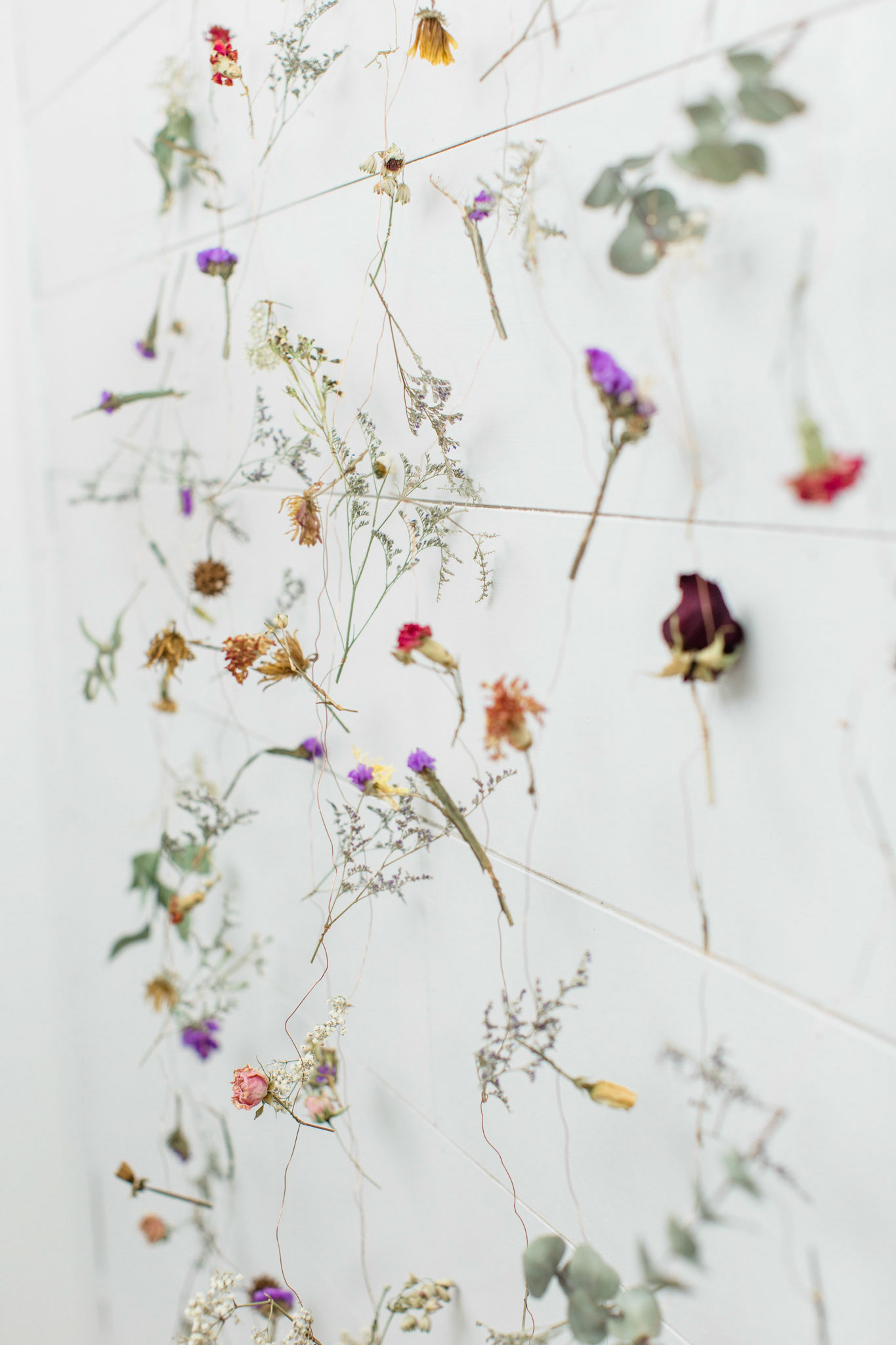 Gallery details - Flowers