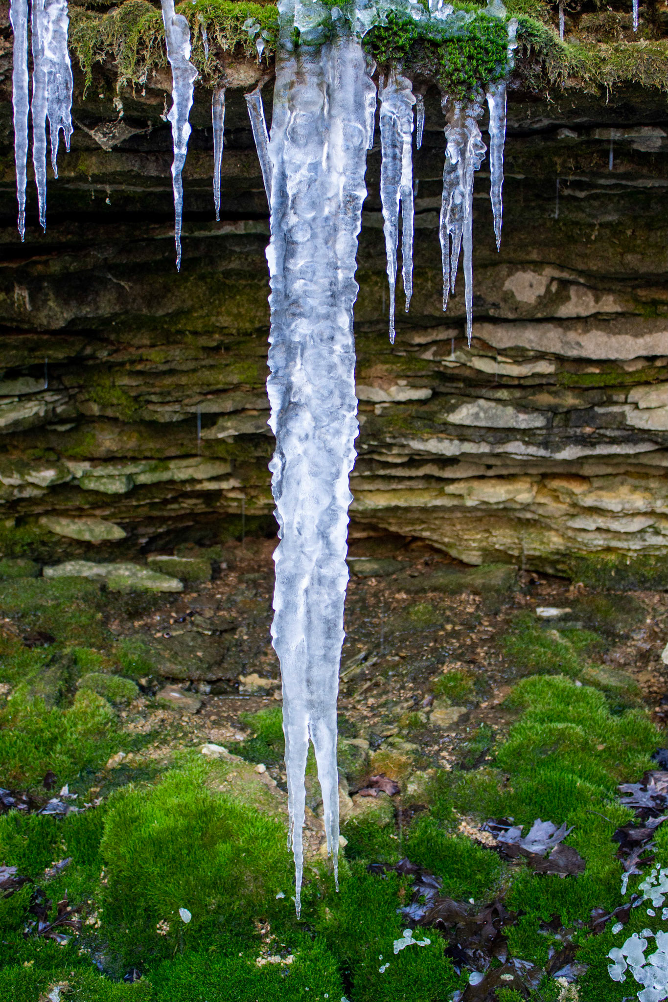 Spring Icicle | John Lane