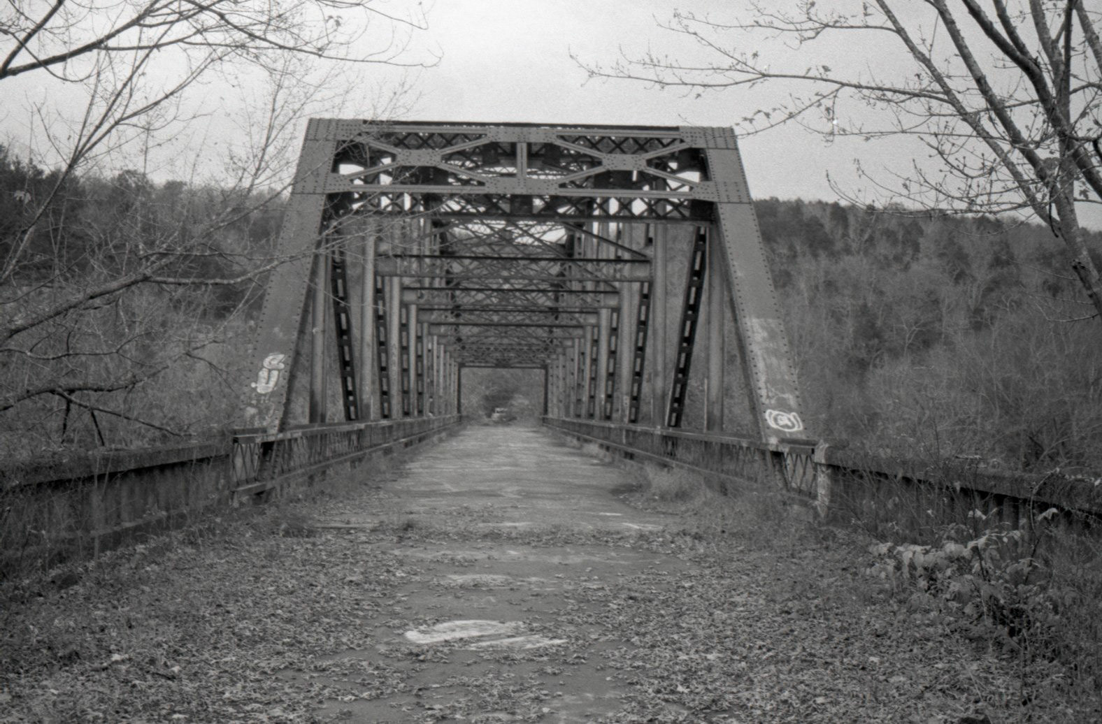 Lonely Bridge • Will Harrison • 11/14/2020 • 5x7 • 35mm