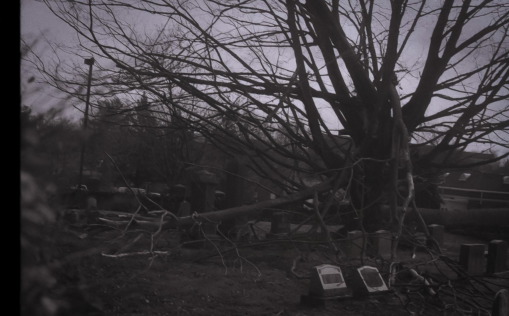 Independent Study work in Analog Photography by Hannah Rhodes.