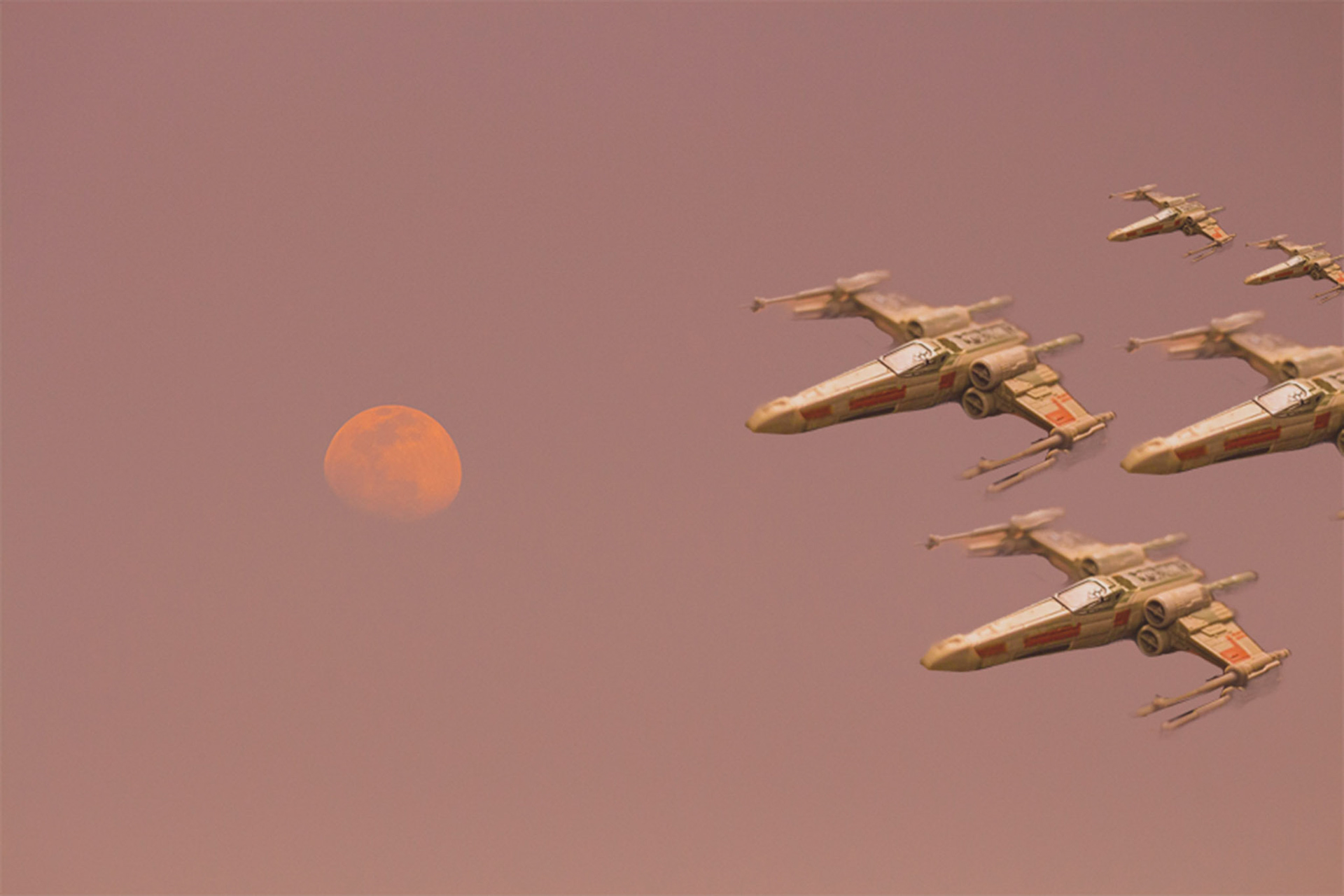 Red Squadron | Will Harrison