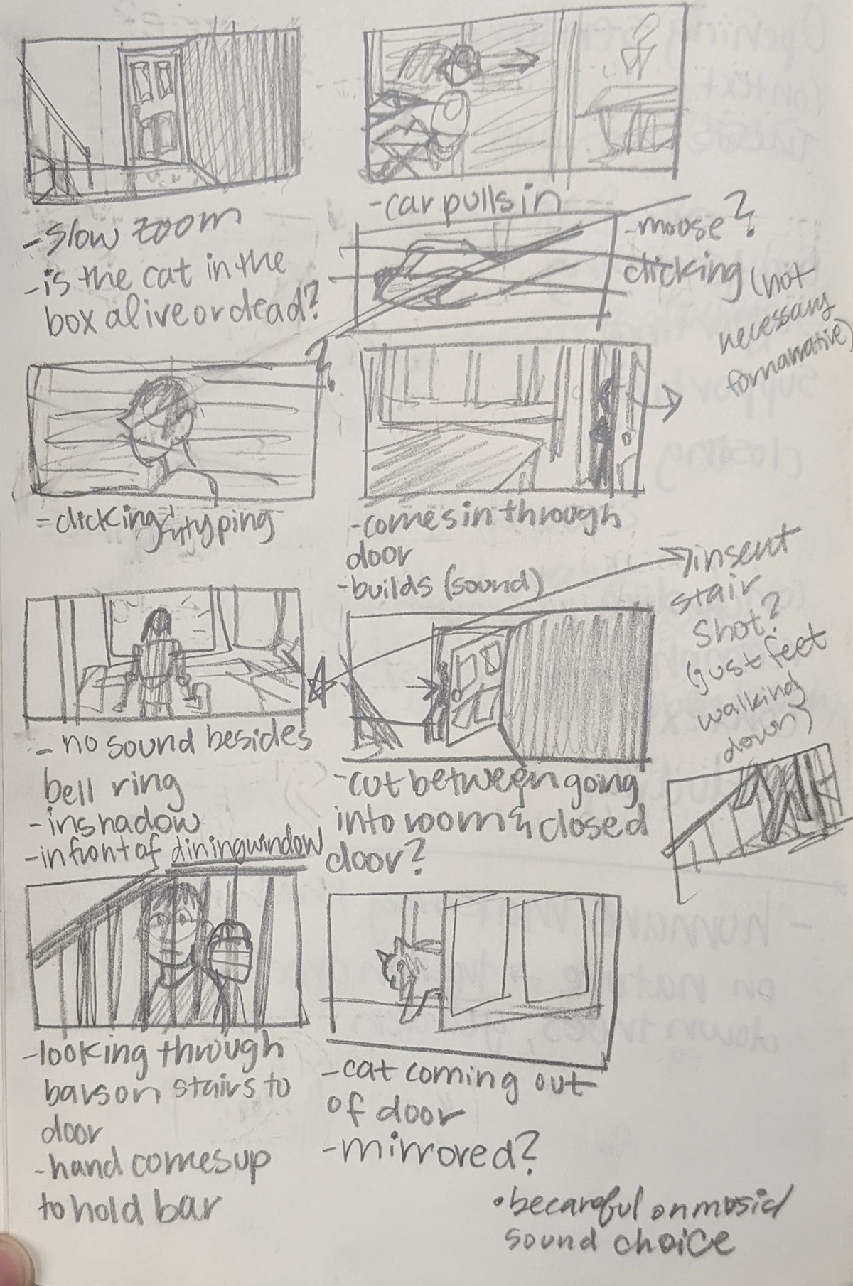 CATS & DOGS Storyboards, 2023