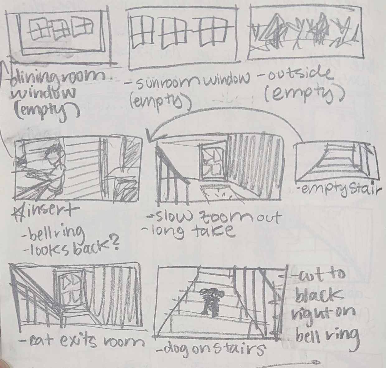 CATS & DOGS Storyboards, 2023