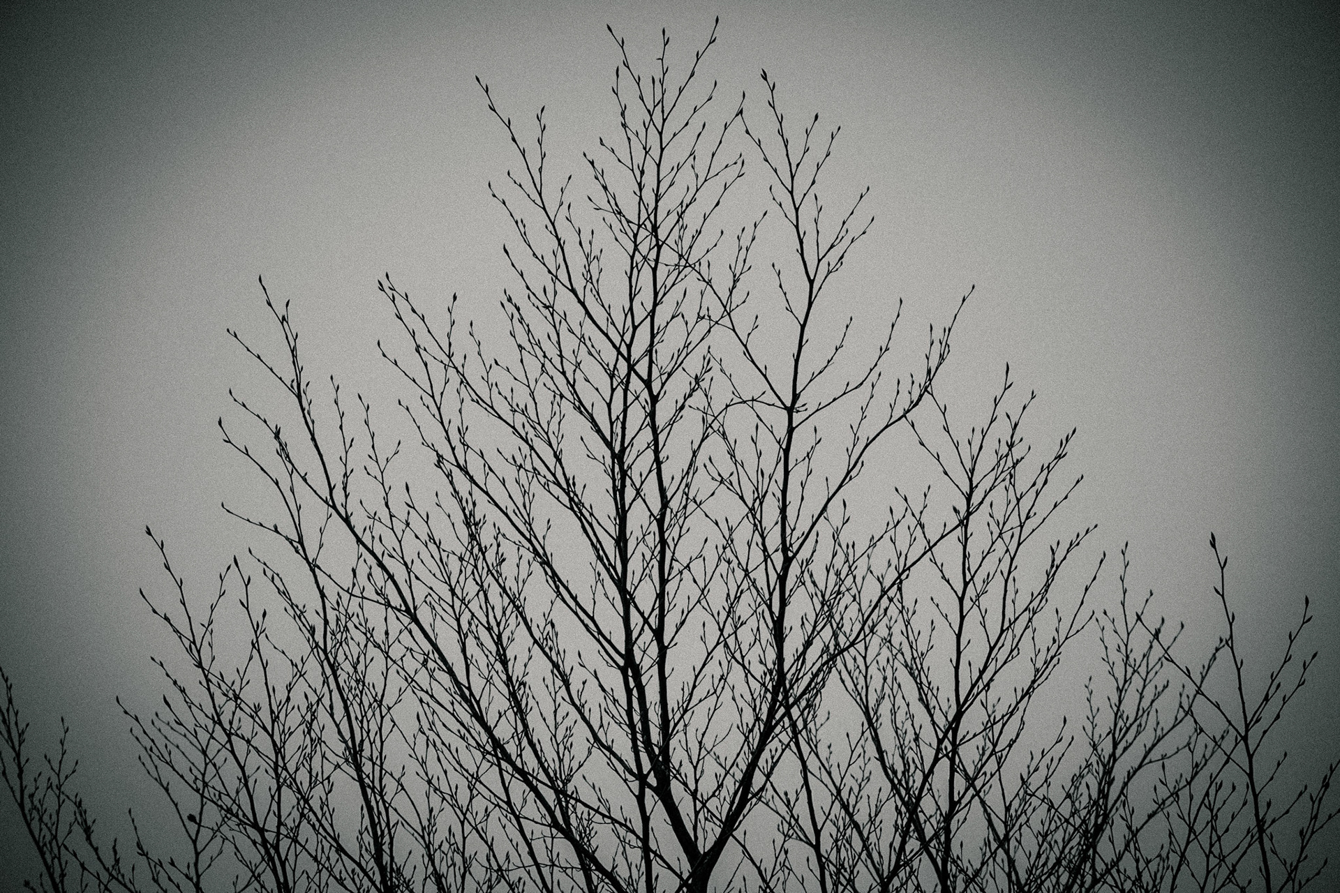 Démultiplication