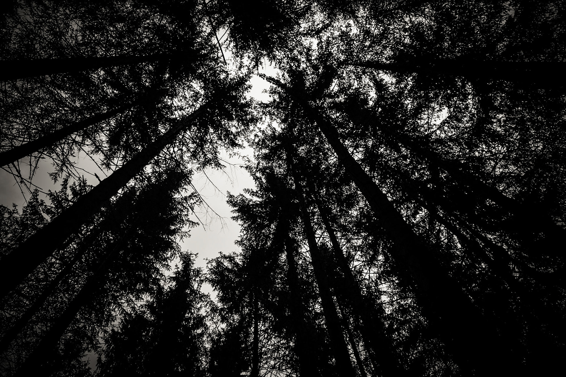 Dizziness