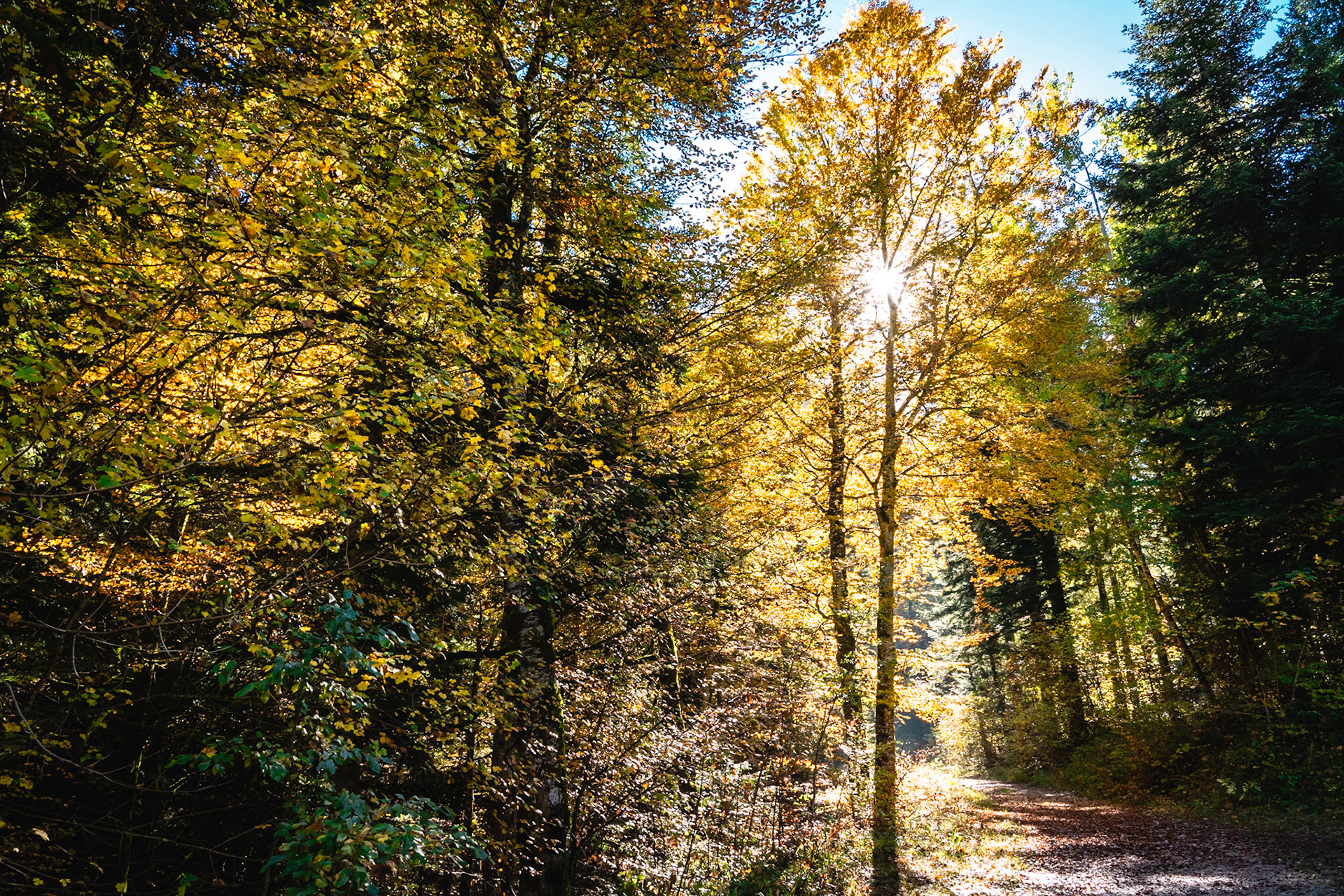 Late morning in "Creux de l'envers" (Jura mountain)