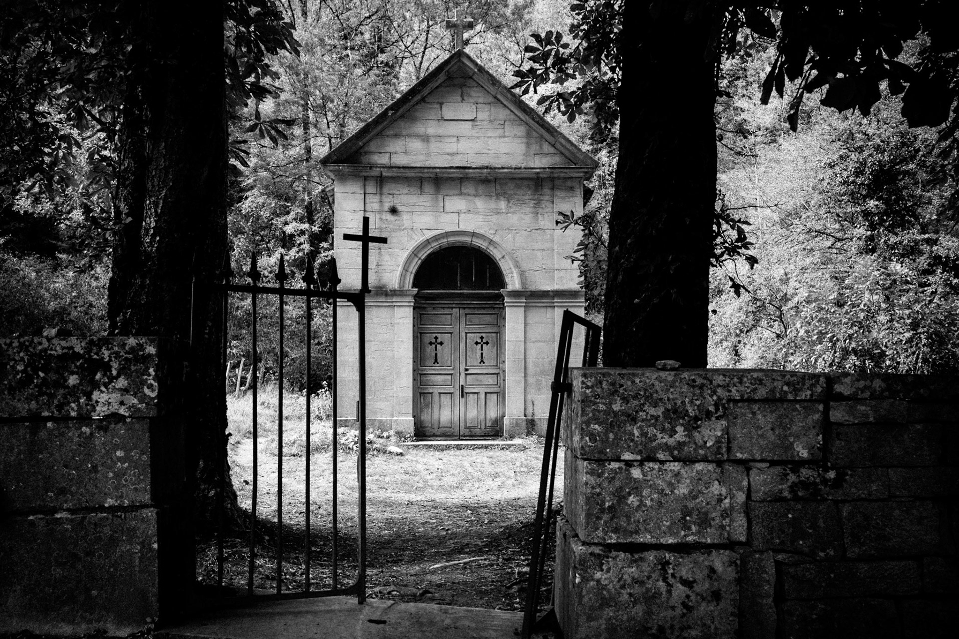 Porte 19