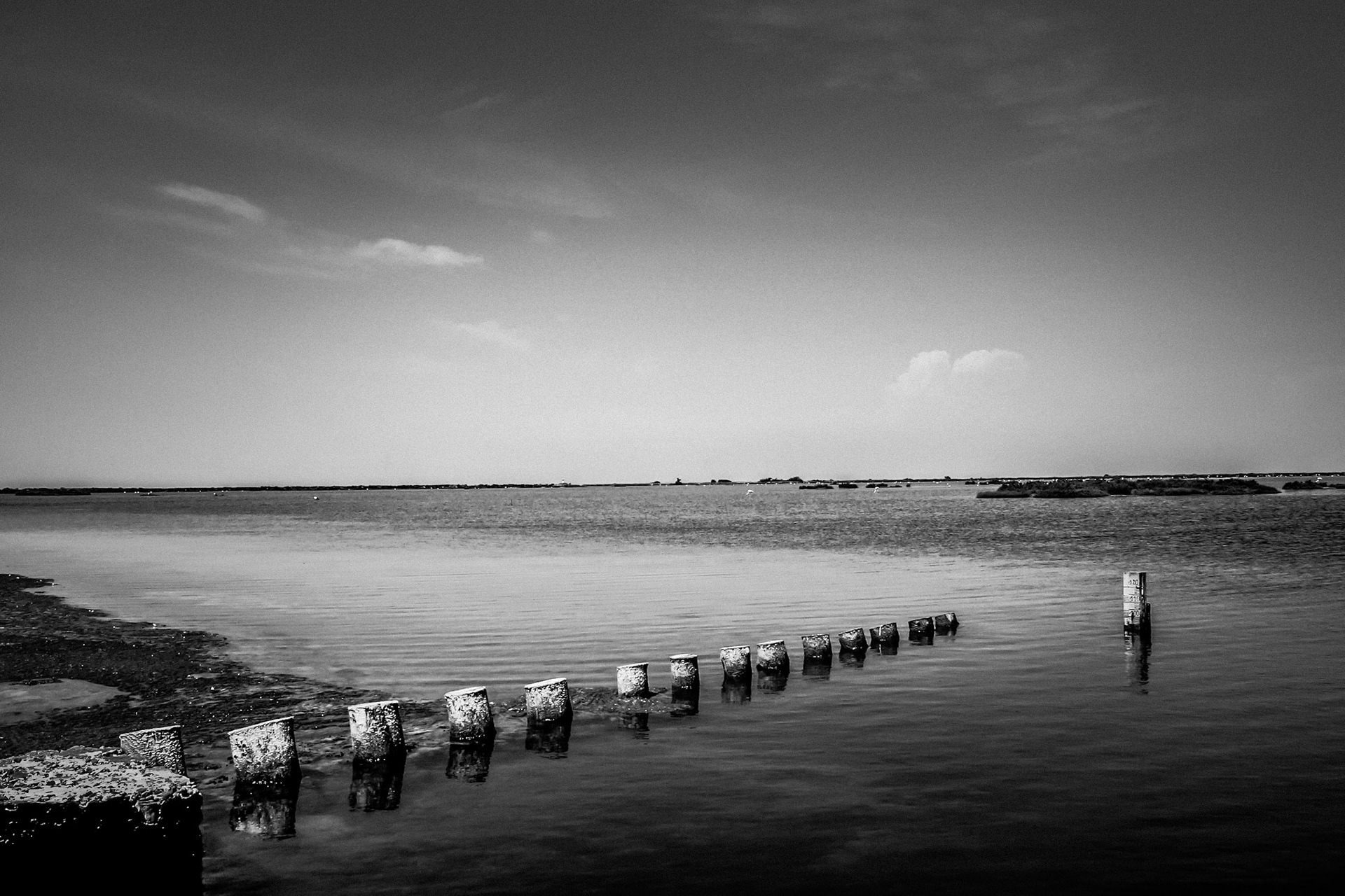 Quiet Camargue