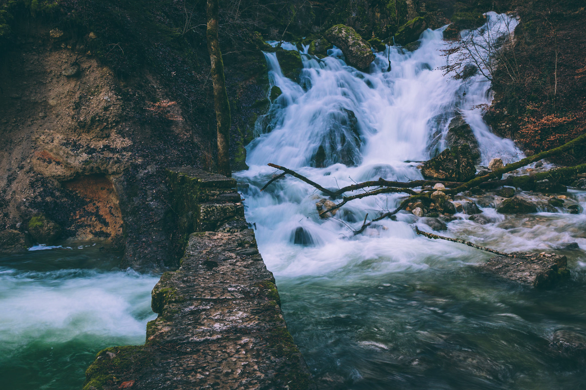 Source of the Allondon River at the foot of the Jura mountain (French side)