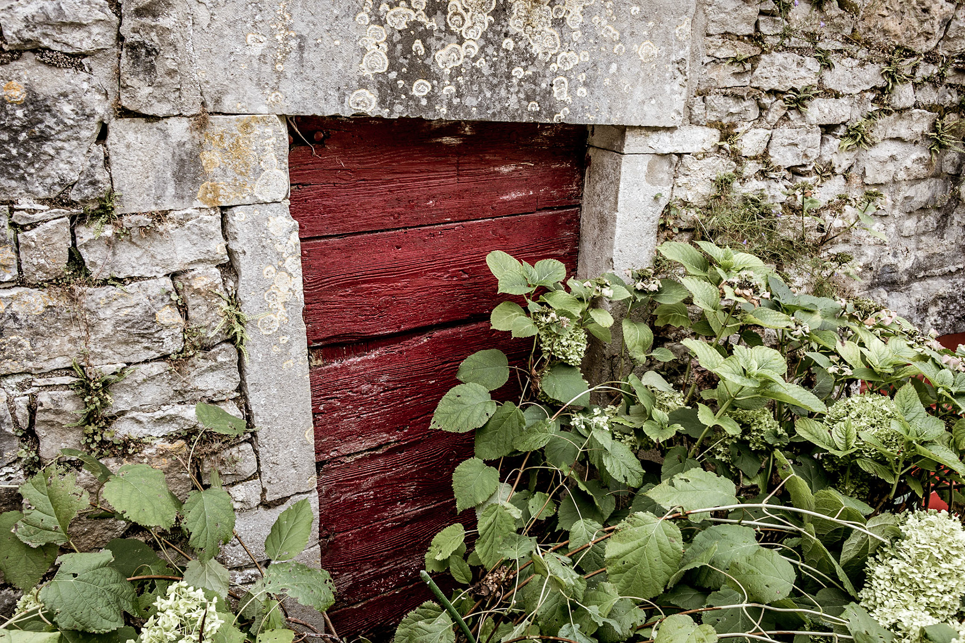 Porte 26