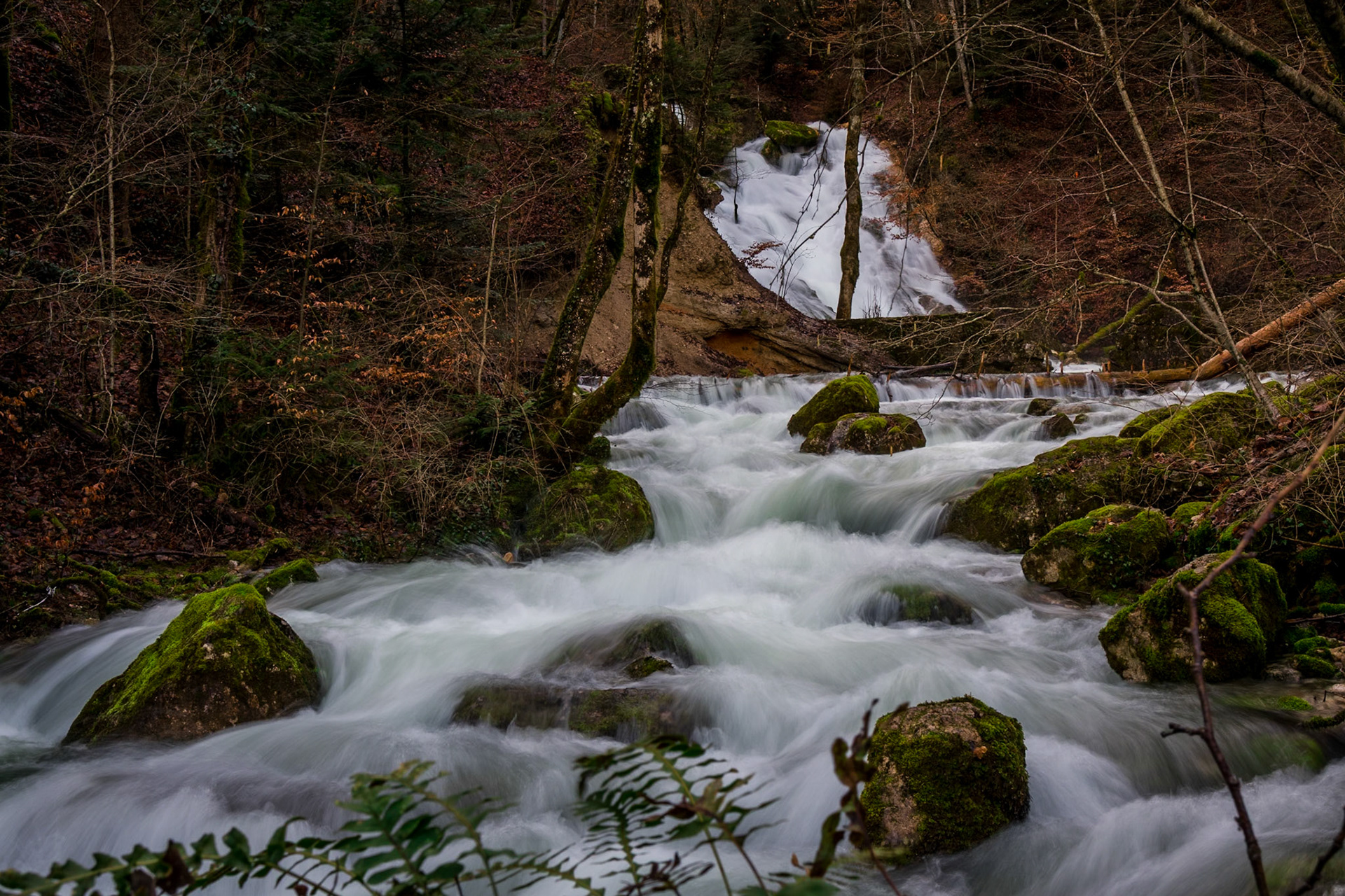 Profusion à la source