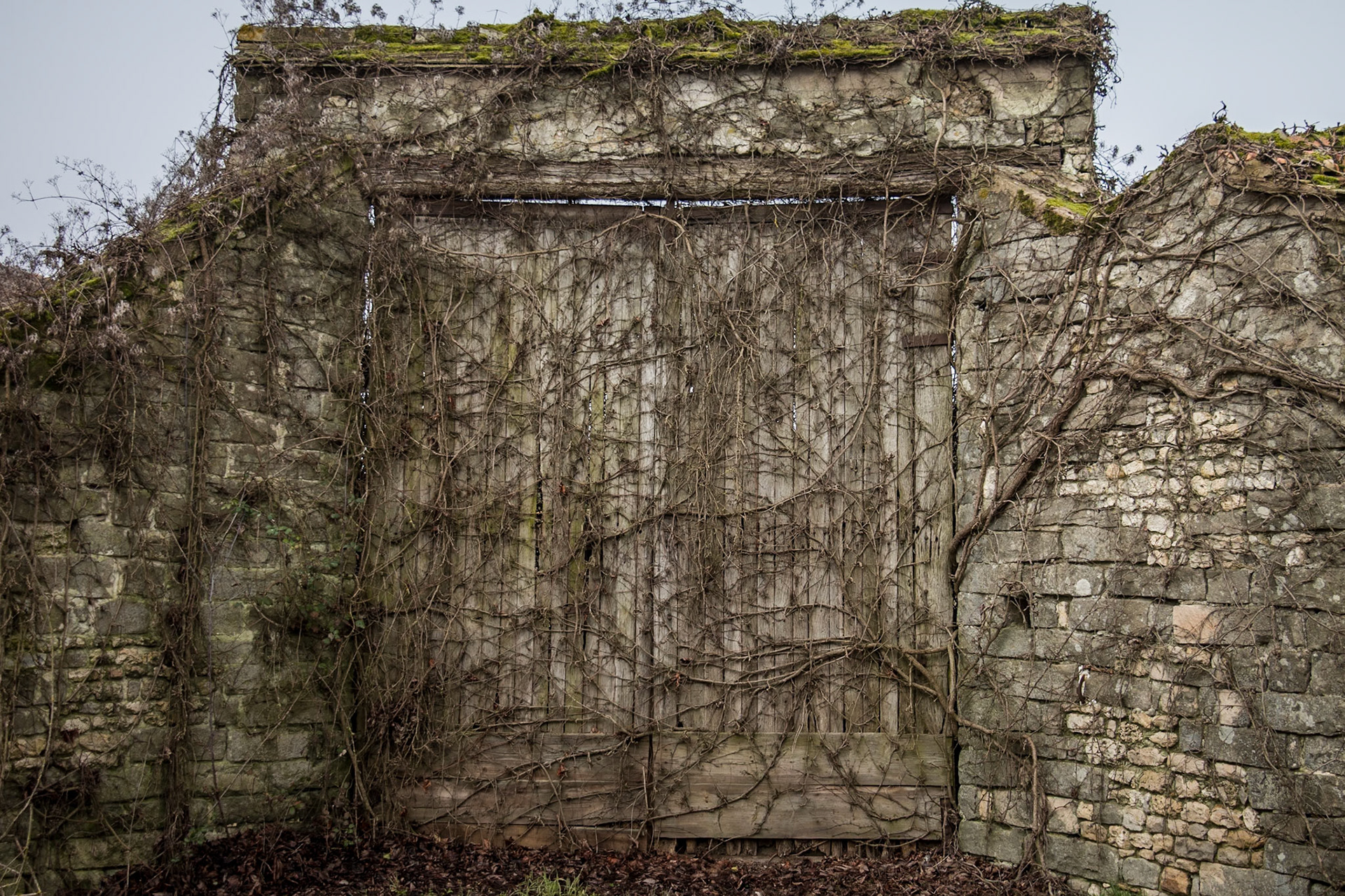 Porte 1