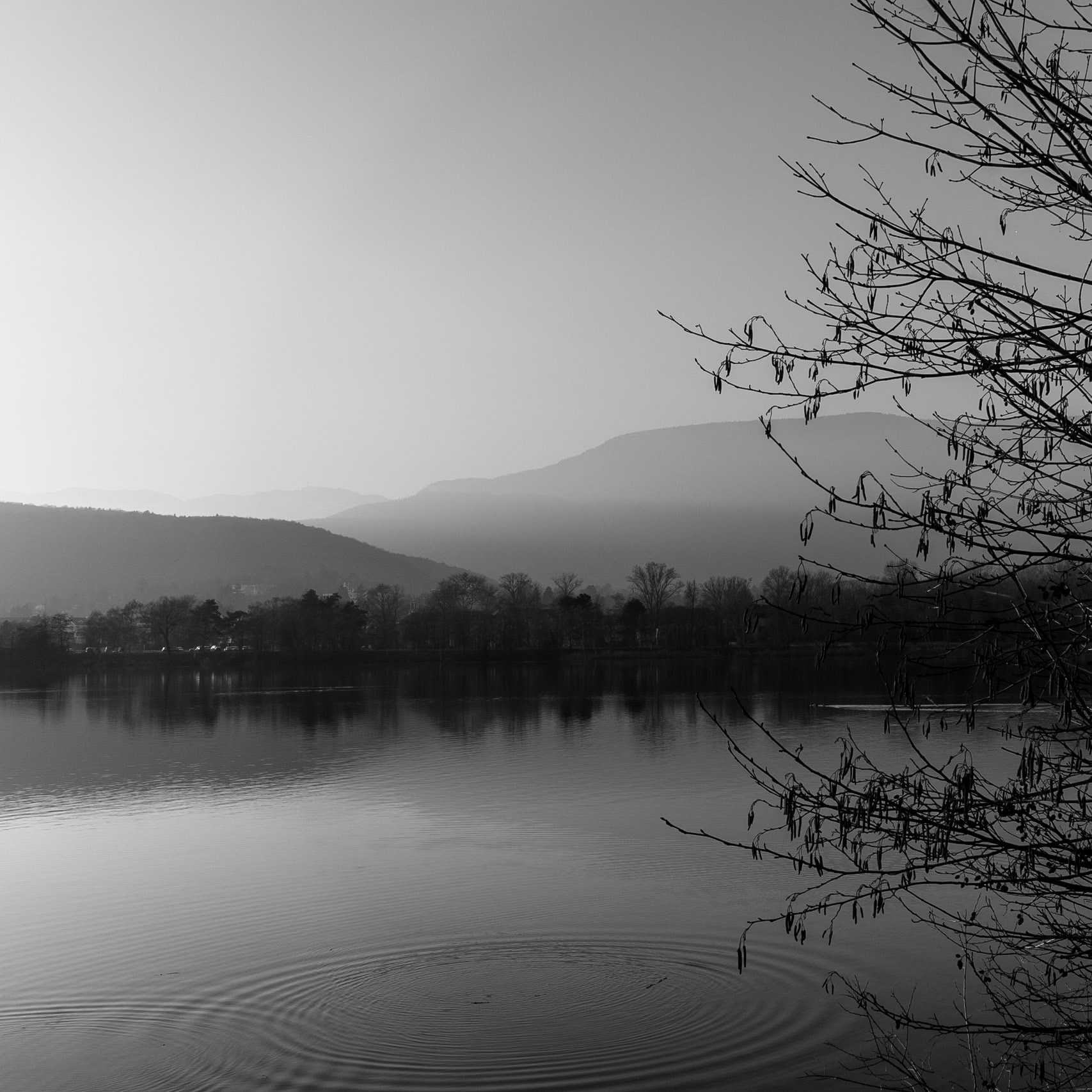Quiet lake