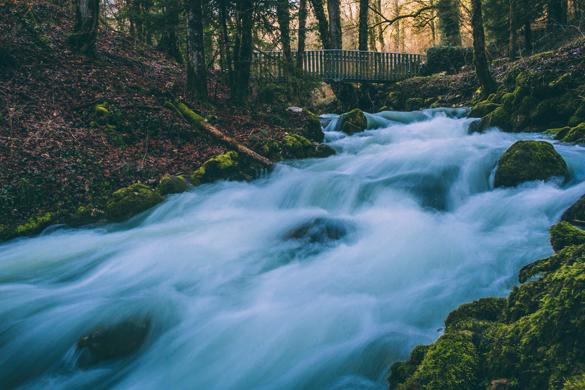 Torrent in Jura mountains in France