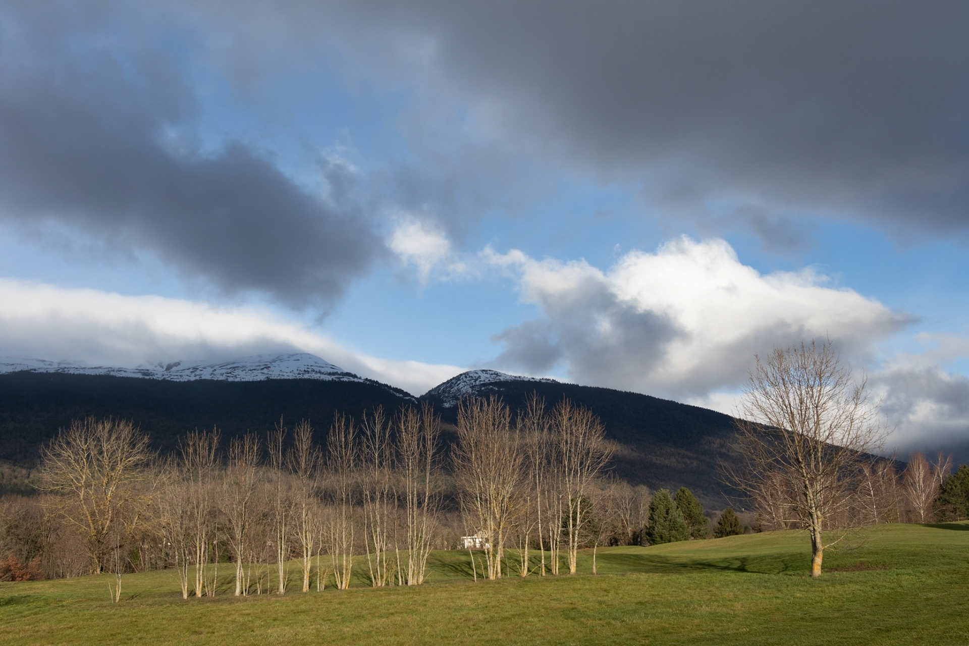 Contrastes d'hiver