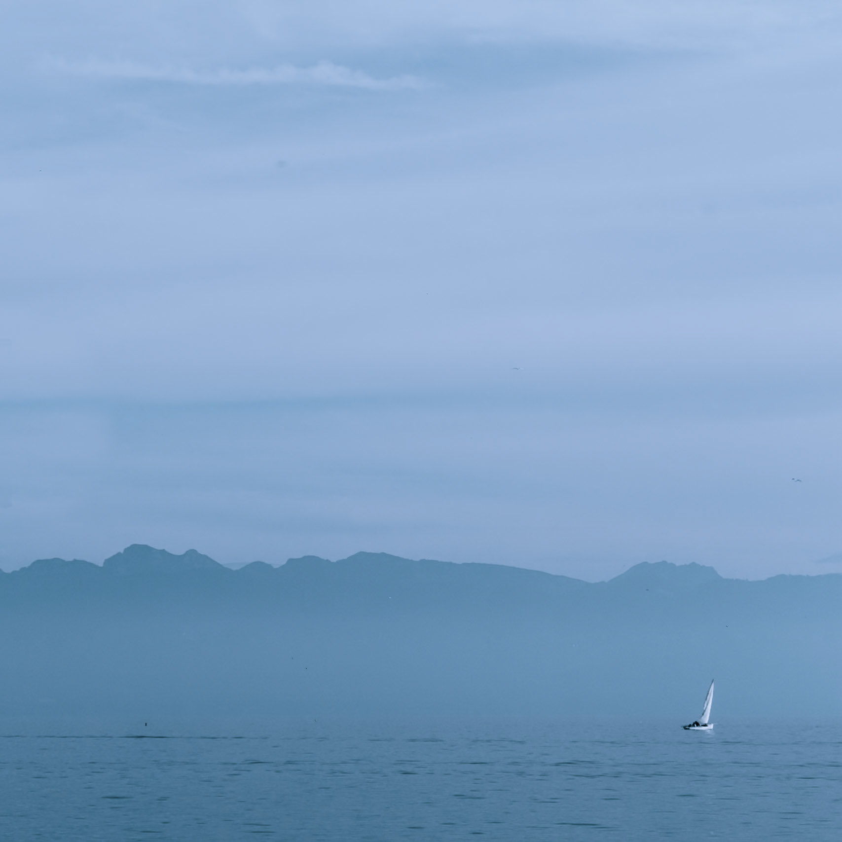 Mist