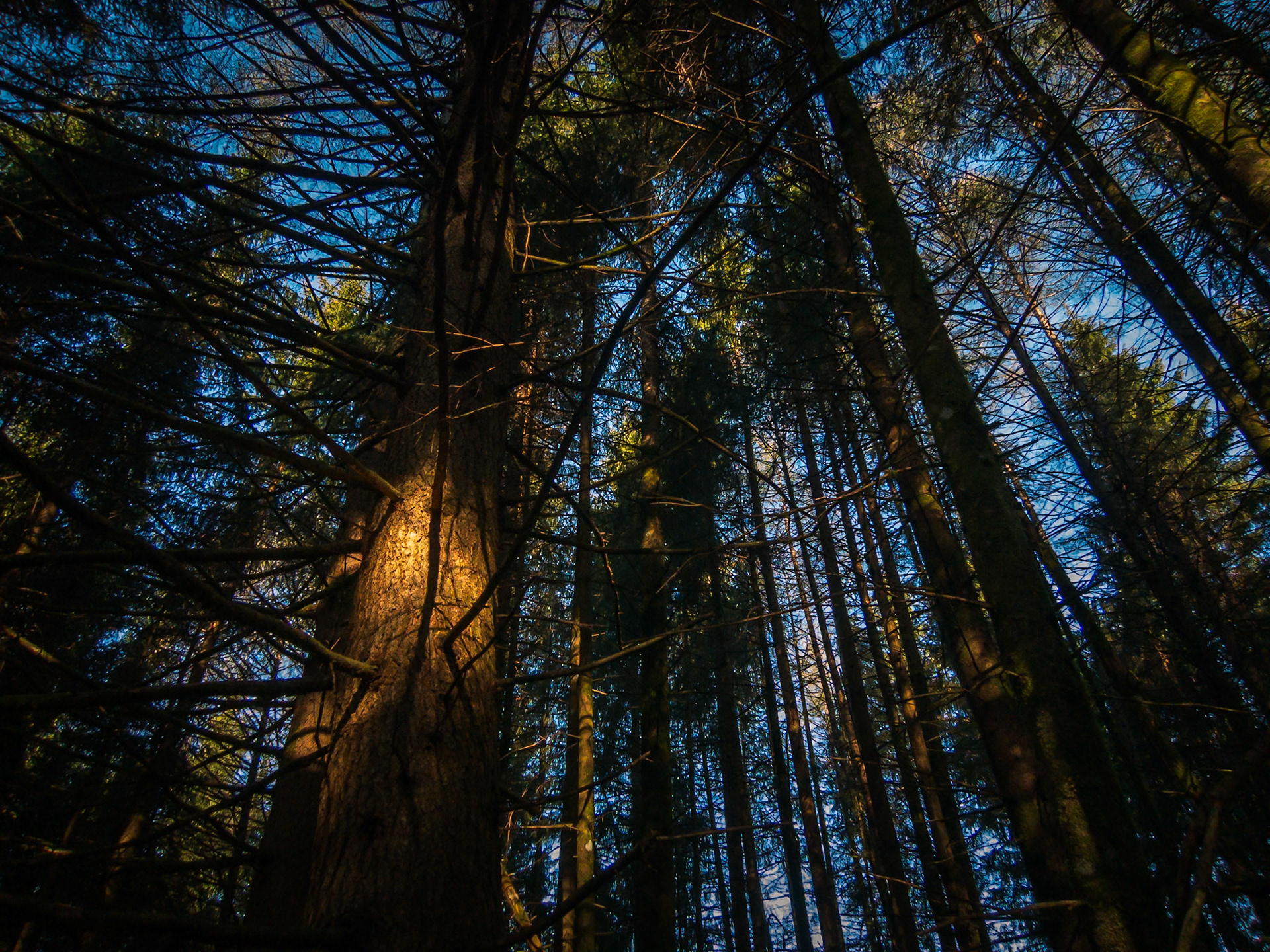 Breakthrough of light