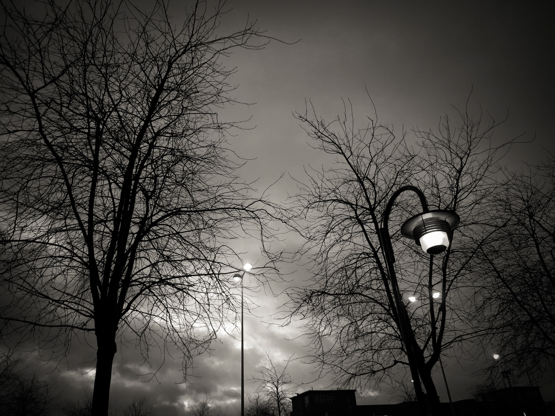 IFO (Identified Flying Objects)