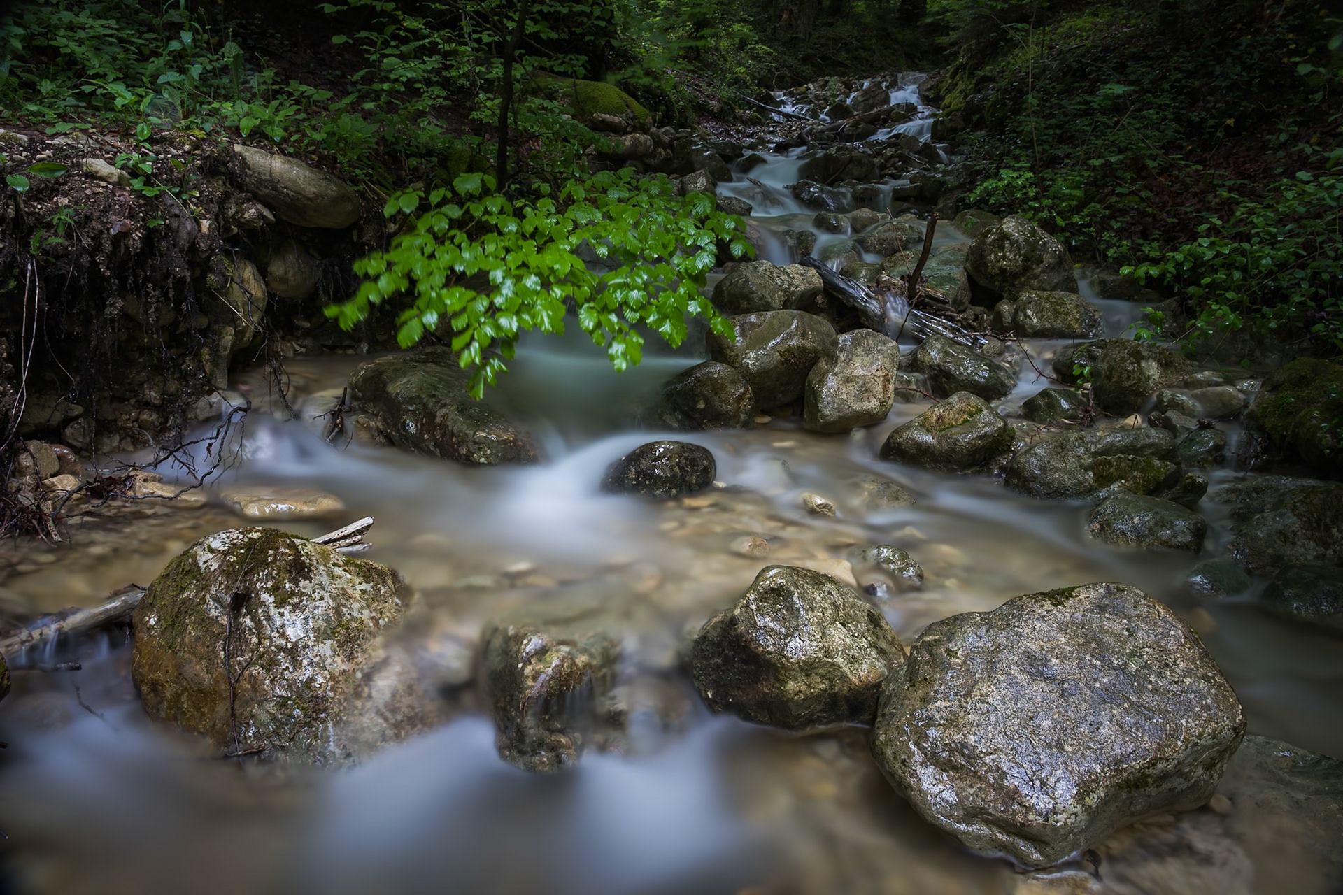 Little torrent in Jura mountains at spring