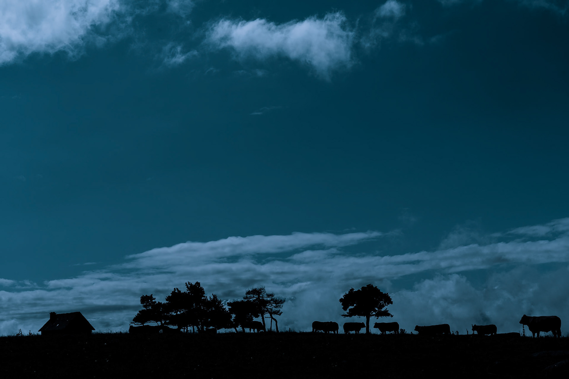 Aubrac night