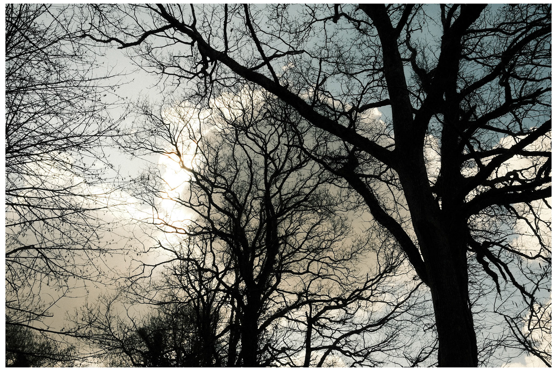 sans titre 0756