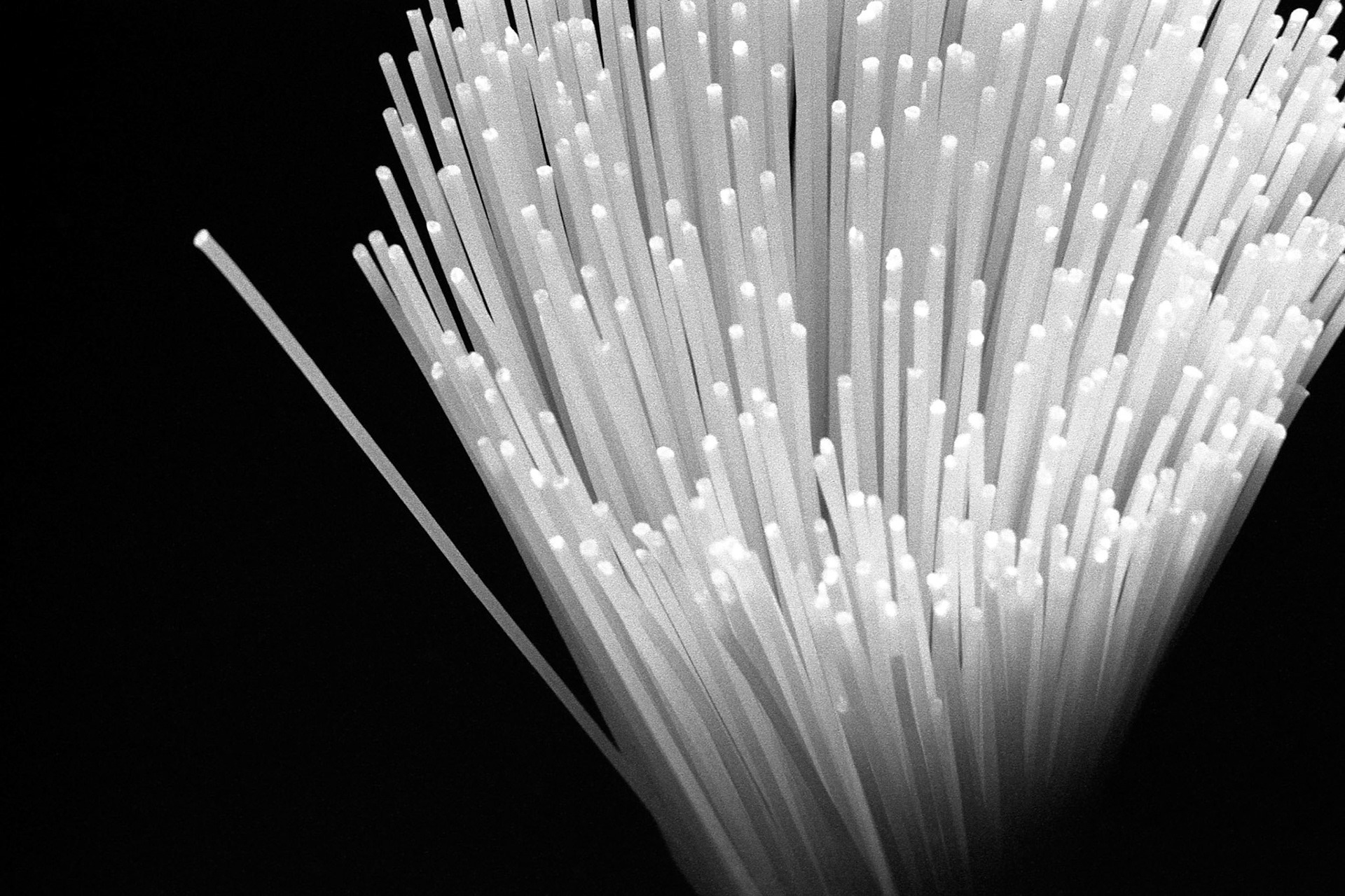 Une poignée de spaghettis maintenus dans un verre tumbler et disposé sur fond noir, une lumière douce et diffuse, une prise de vue rapprochée, la connexion est coupée...