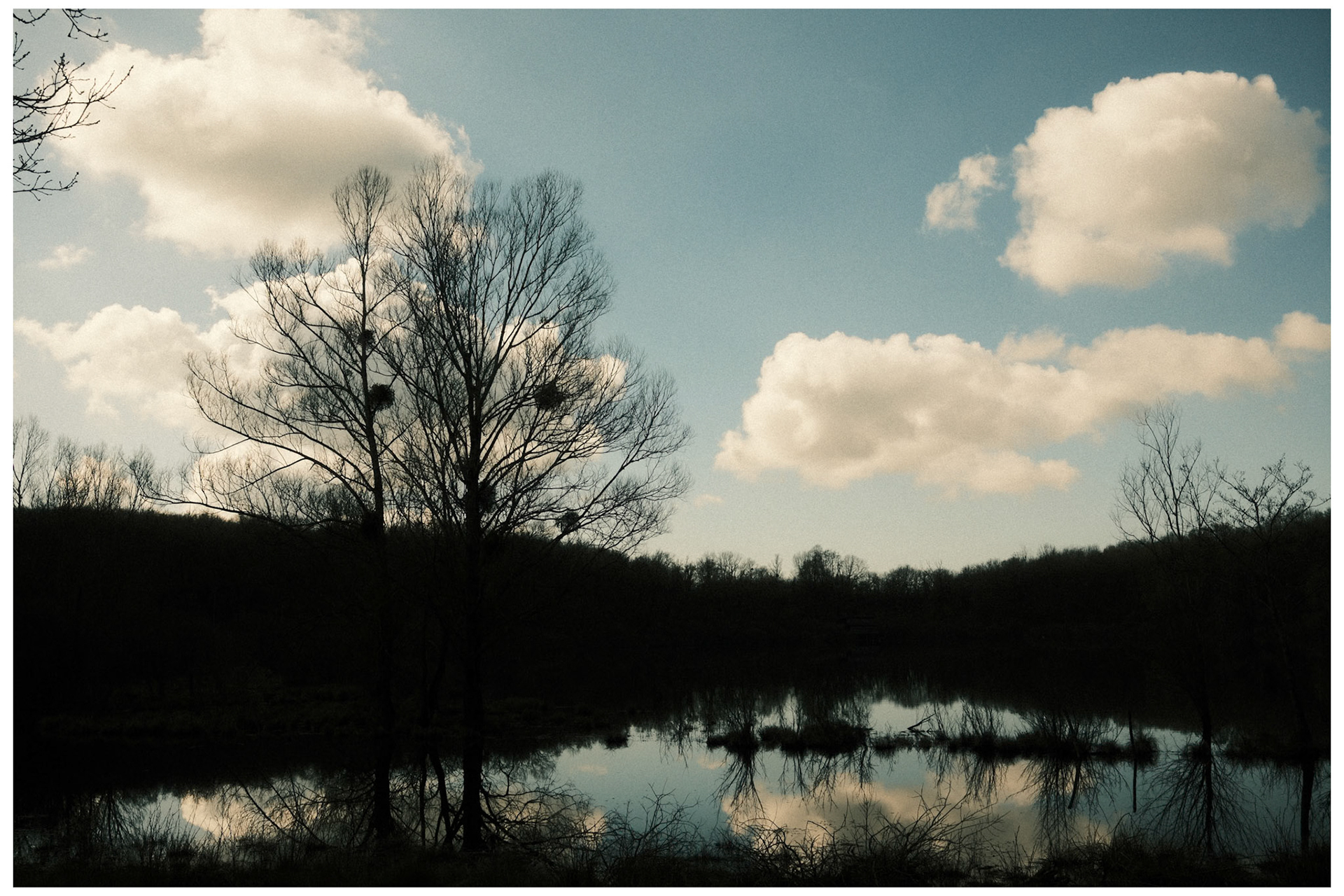 sans titre 0762