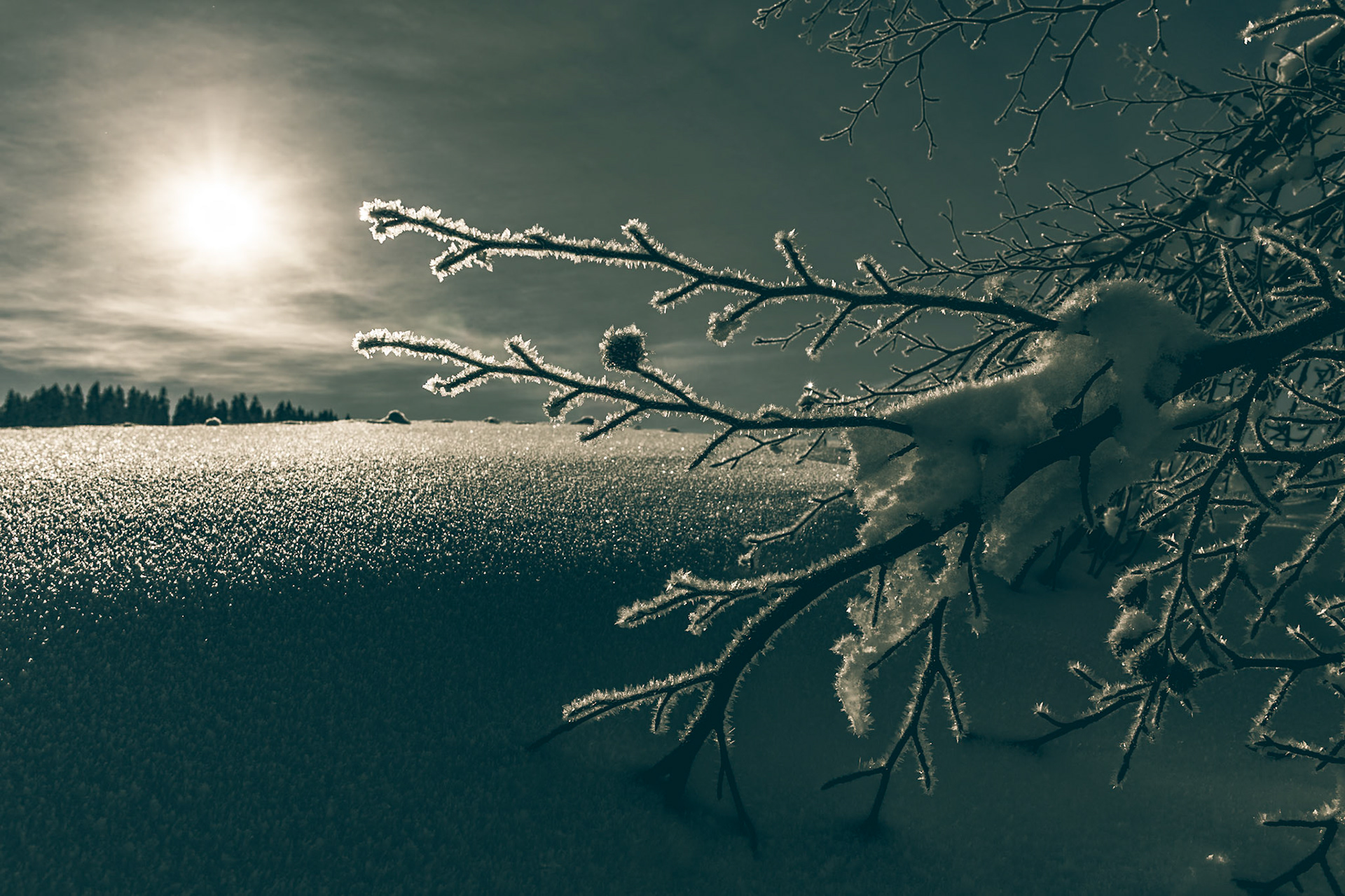 Cristals branches