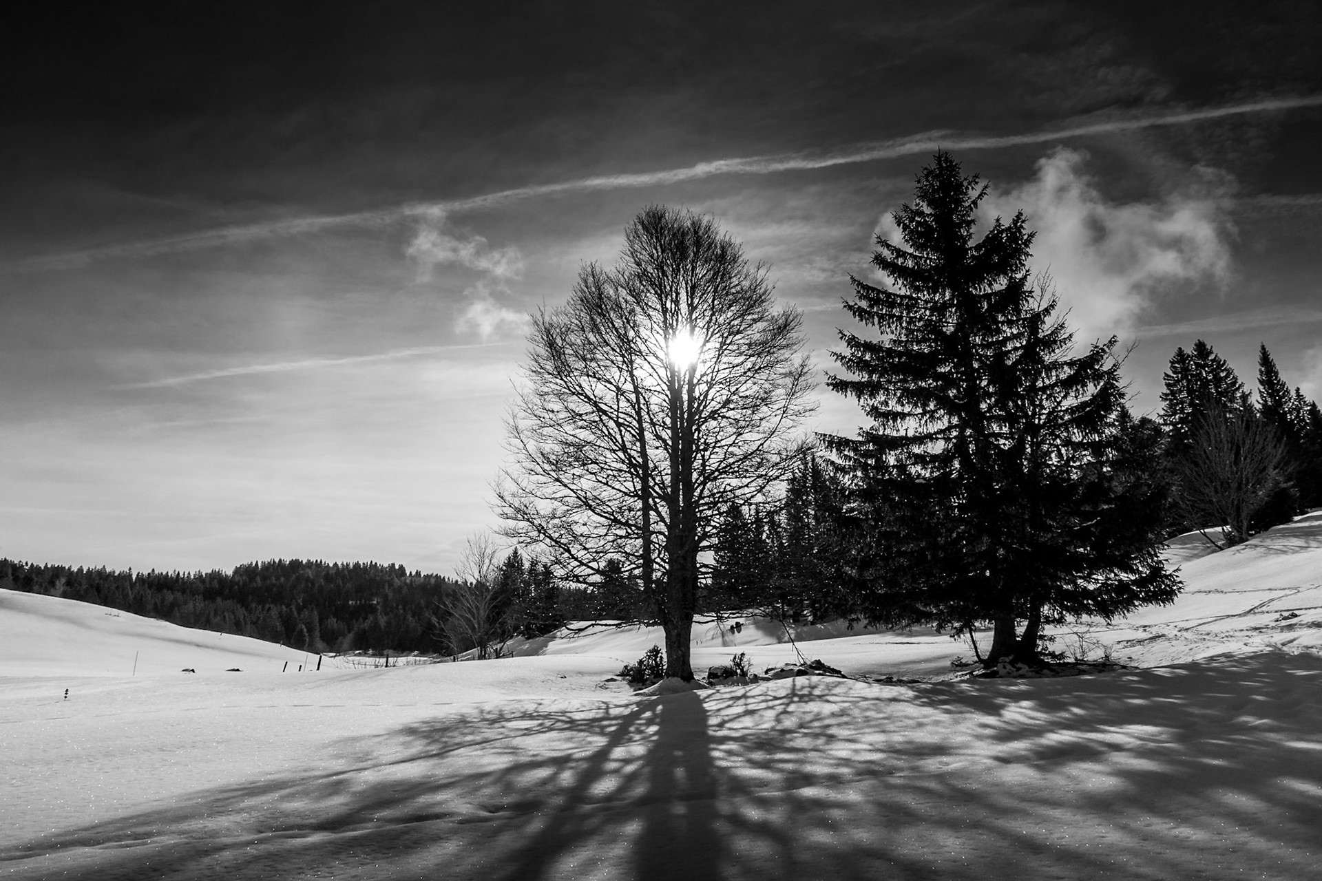 Domaine nordique La Vattay, Monts-Jura.