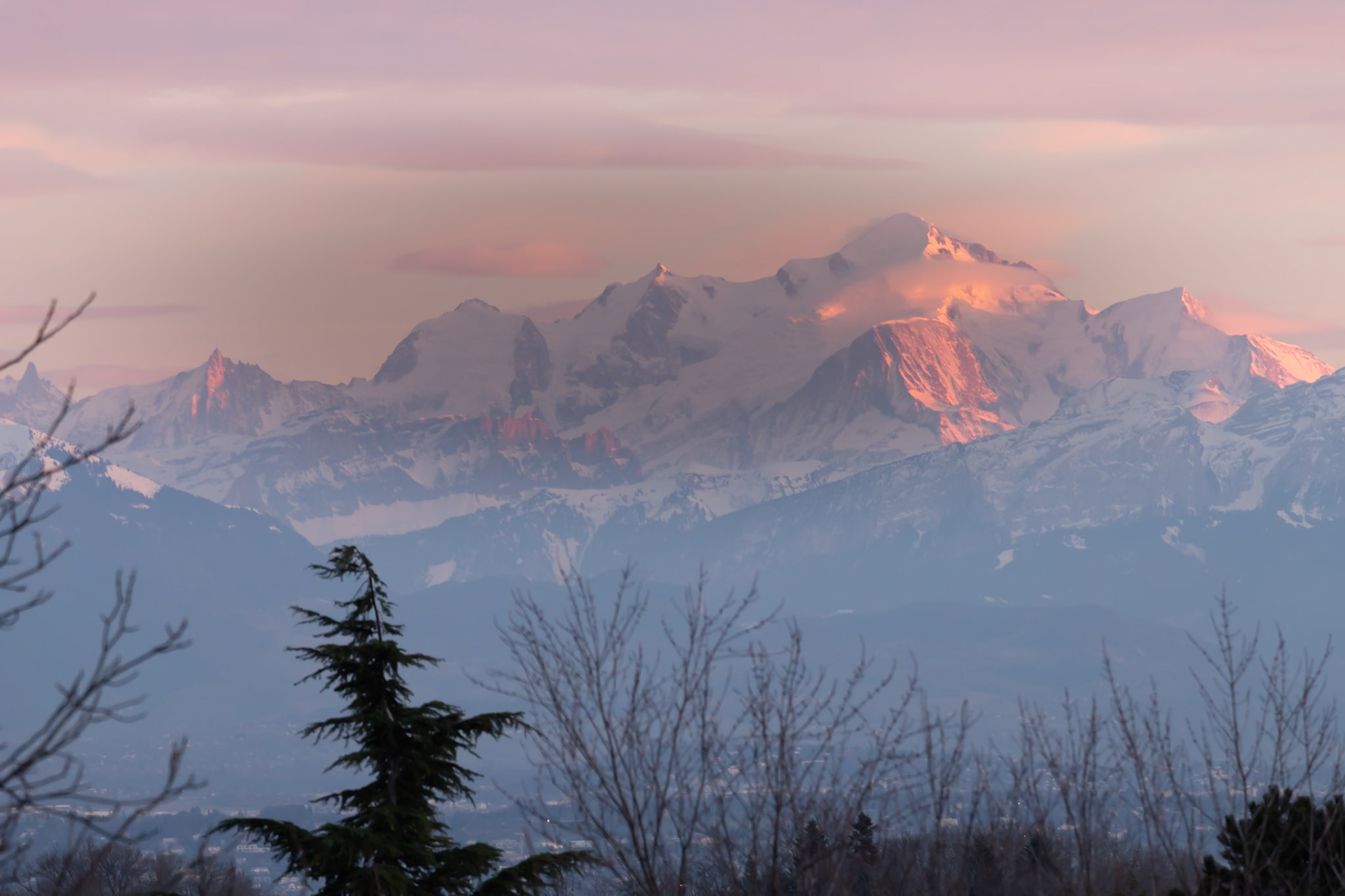 Pink Mont Blanc